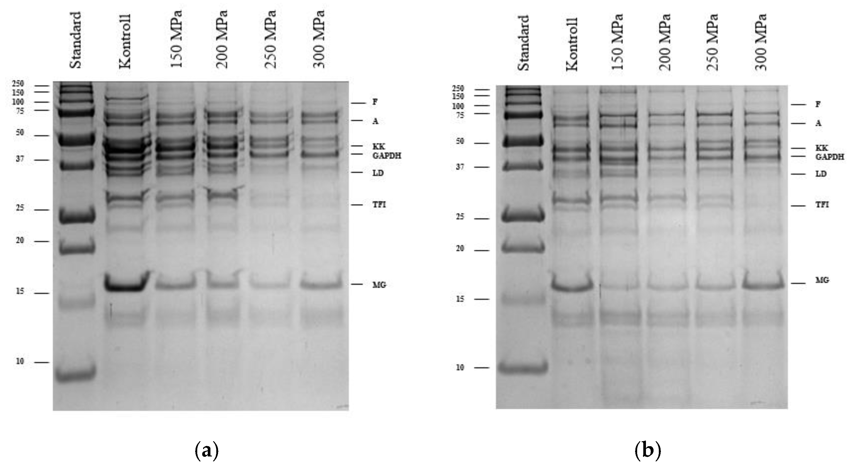 Applsci 15 01766 g010 Applsci 15 01766 g010