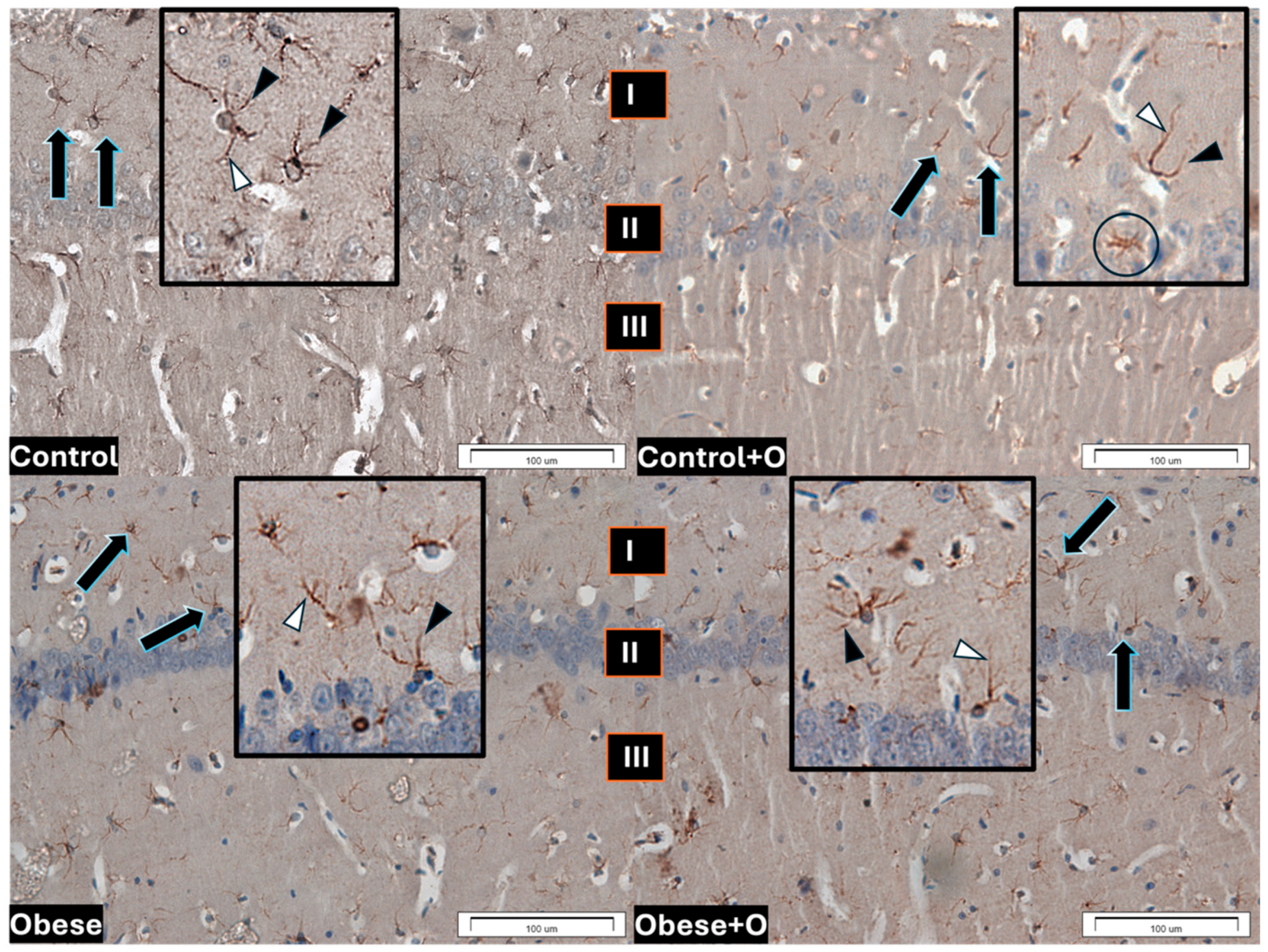 Applsci 15 01768 g003 Applsci 15 01768 g003