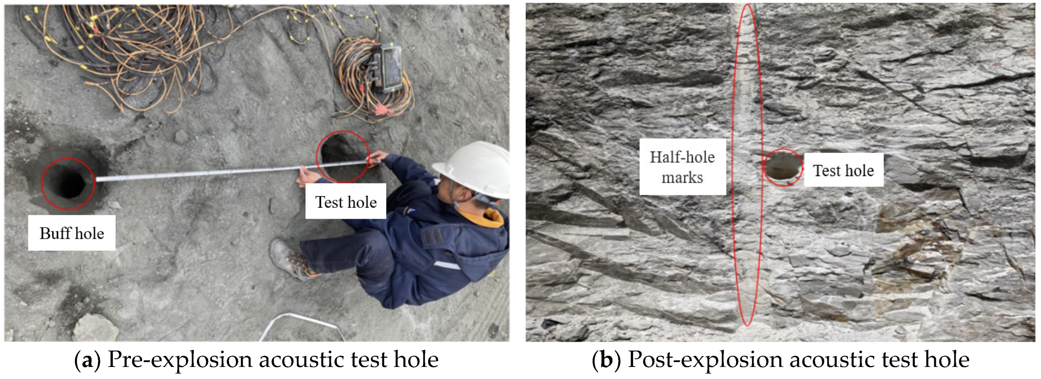 Applsci 15 01776 g017a