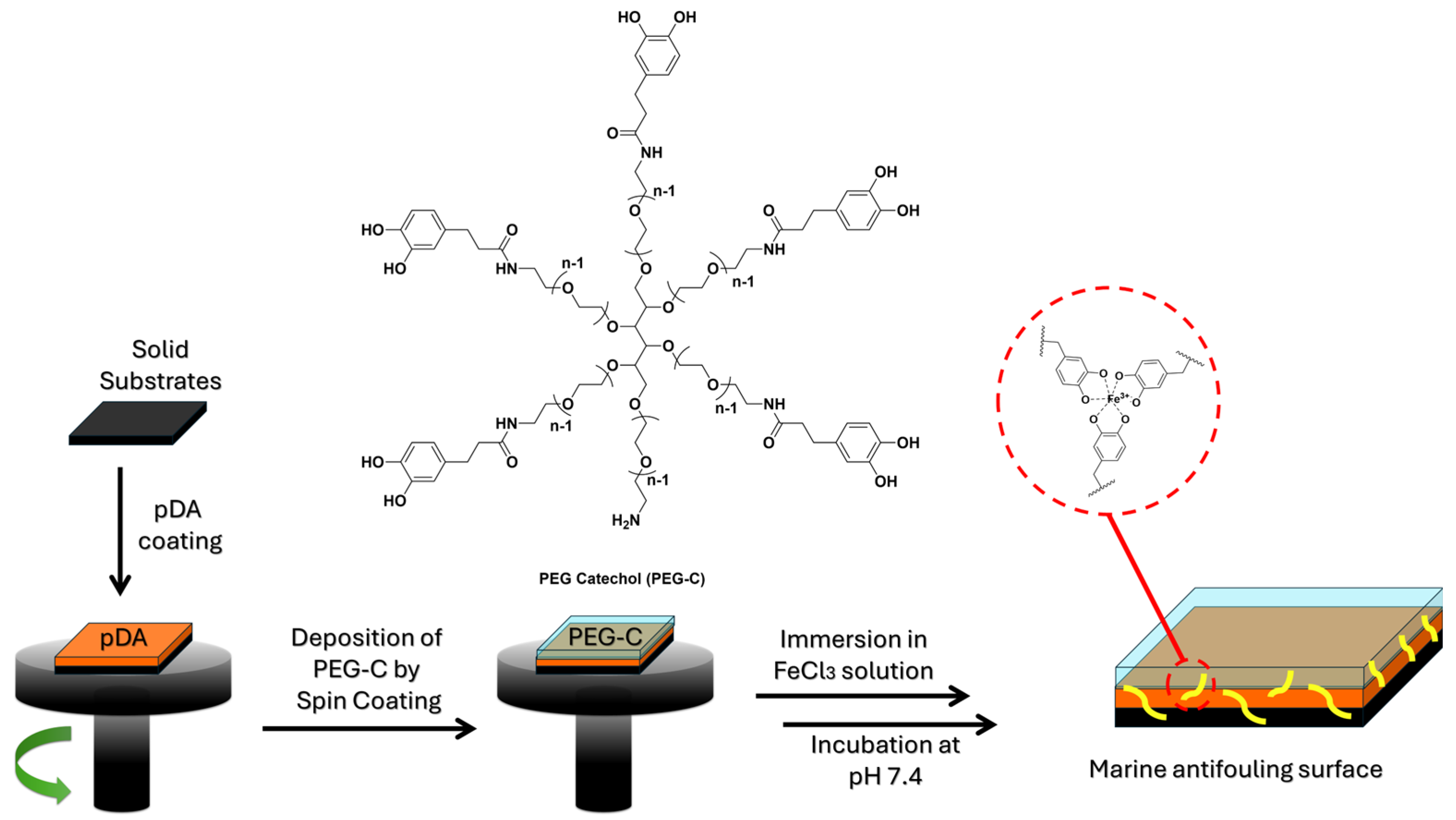 Innovative Antibacterial Polymer Coatings