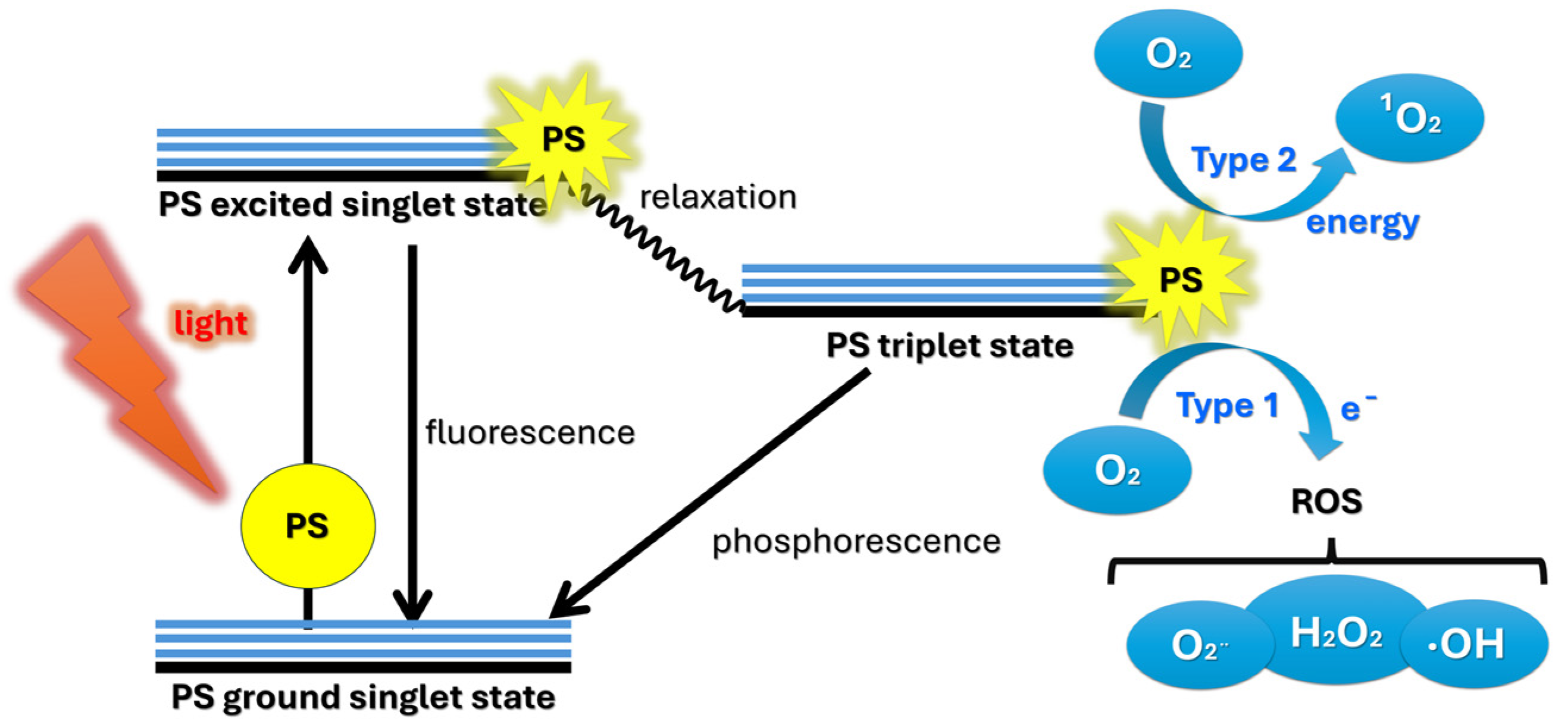 Applsci 15 01780 g009