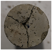 Applsci 15 01785 i003