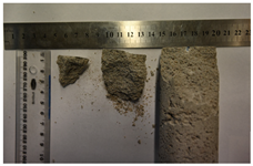 Applsci 15 01785 i004