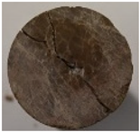 Applsci 15 01785 i007