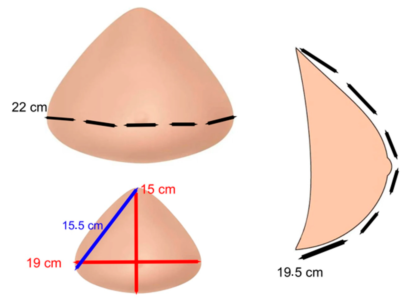 Applsci 15 01788 g006