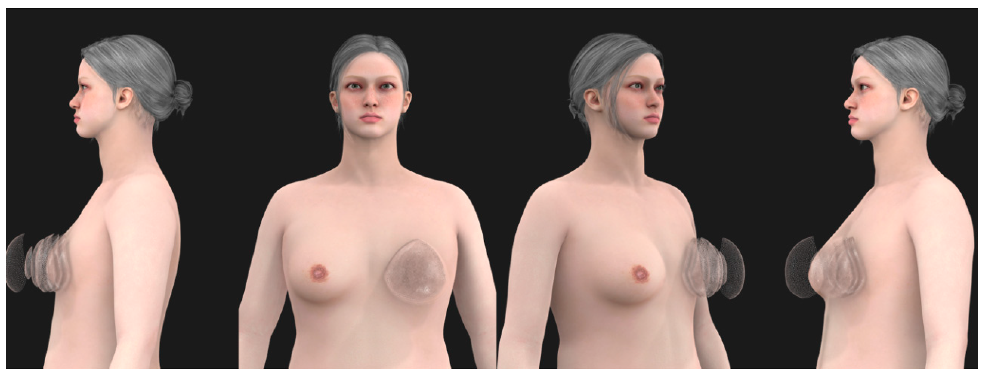 Applsci 15 01788 g007