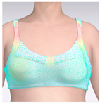 Applsci 15 01788 i002