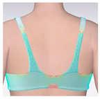 Applsci 15 01788 i003