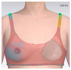 Applsci 15 01788 i004