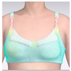 Applsci 15 01788 i006