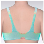 Applsci 15 01788 i007