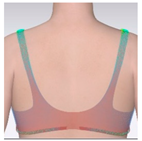 Applsci 15 01788 i009