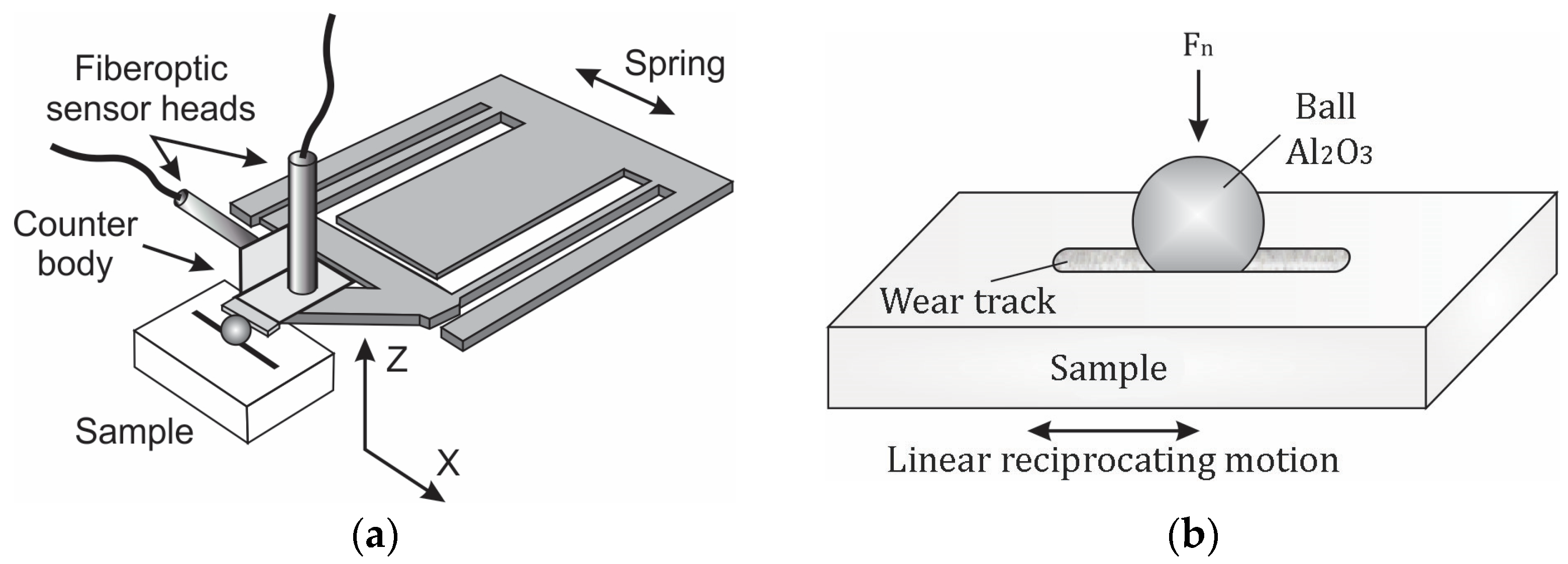 Applsci 15 01789 g001