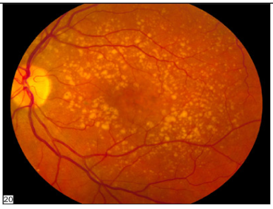 Applsci 15 01796 i005