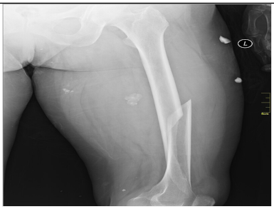 Applsci 15 01796 i009