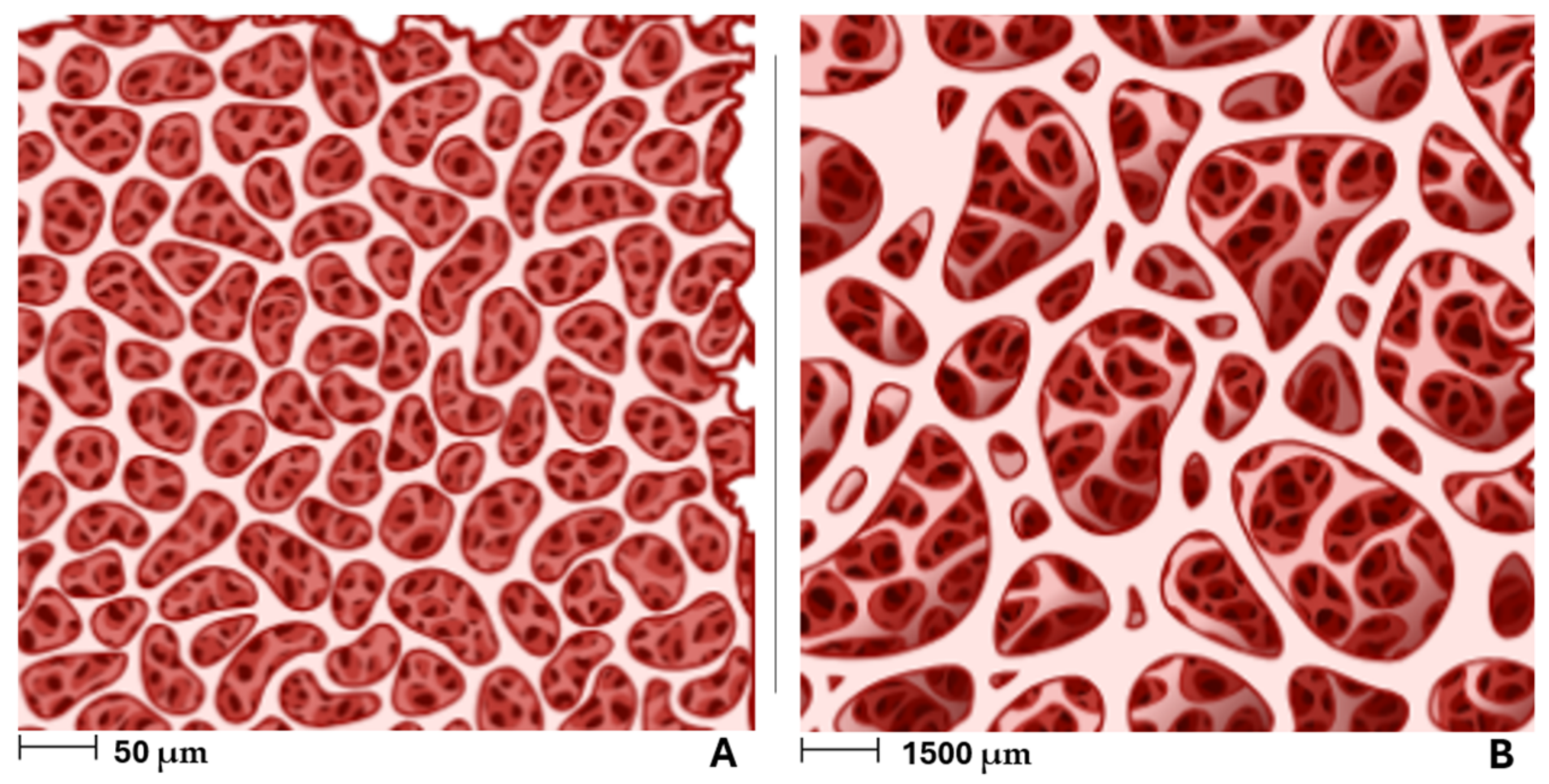 Applsci 15 01804 g005