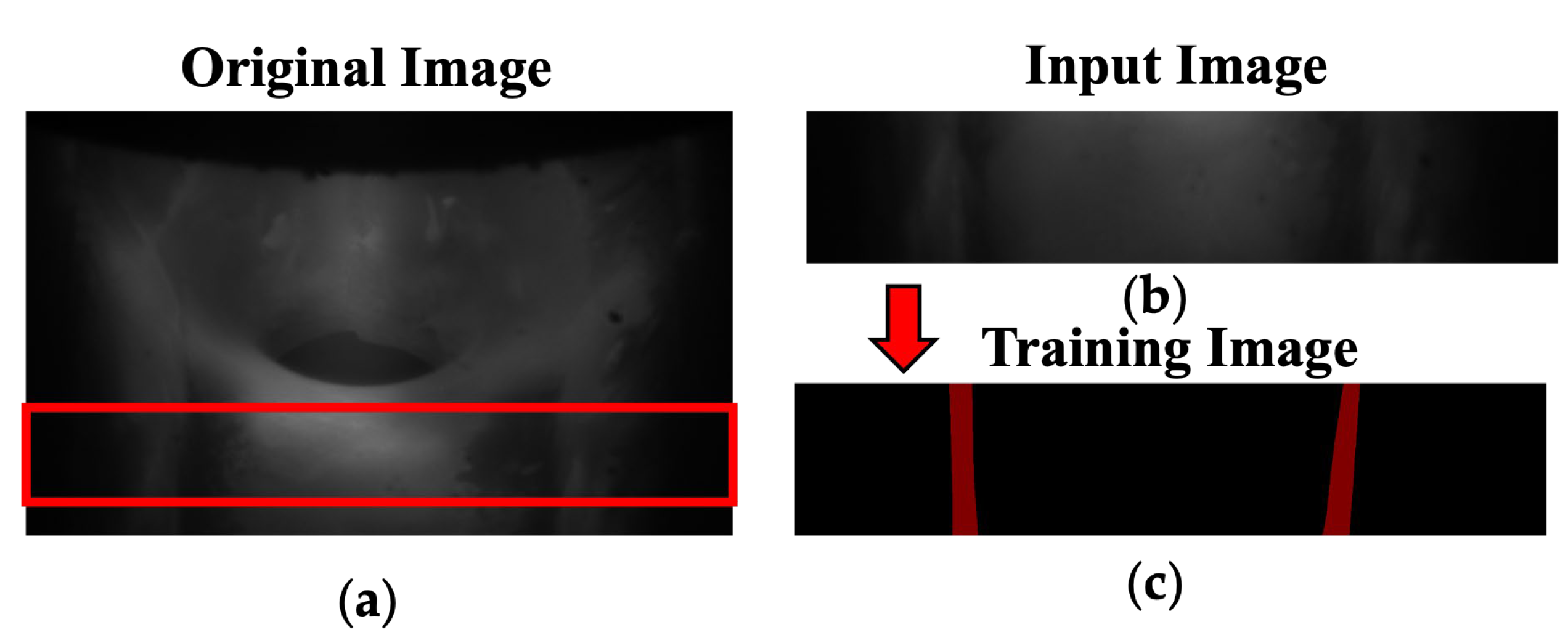 Applsci 15 01814 g010