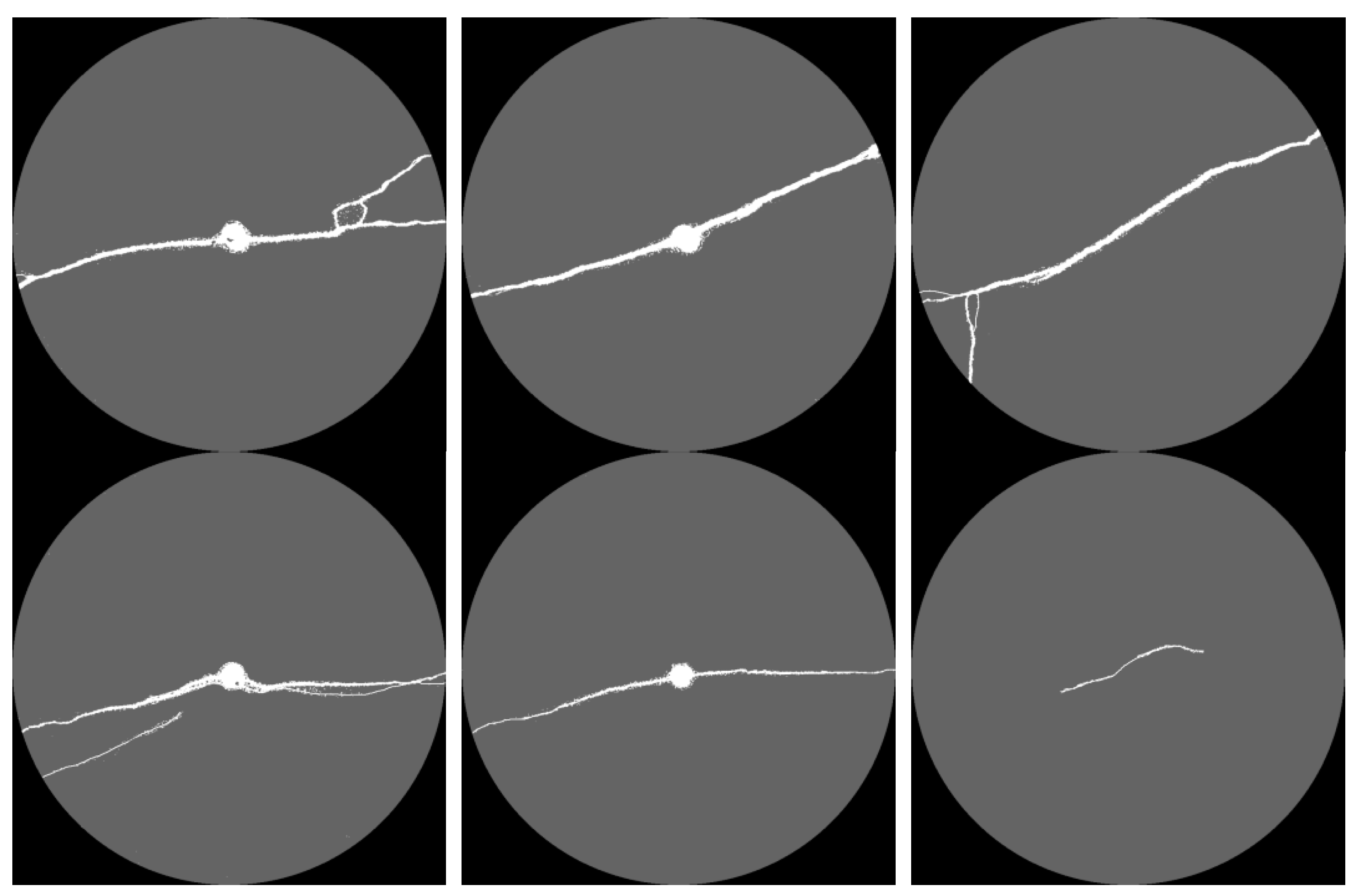 Applsci 15 01819 g006a