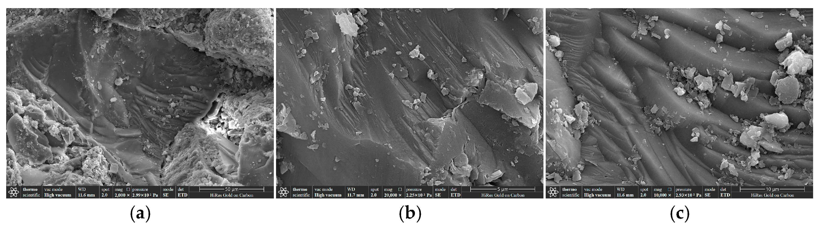 Applsci 15 01819 g013