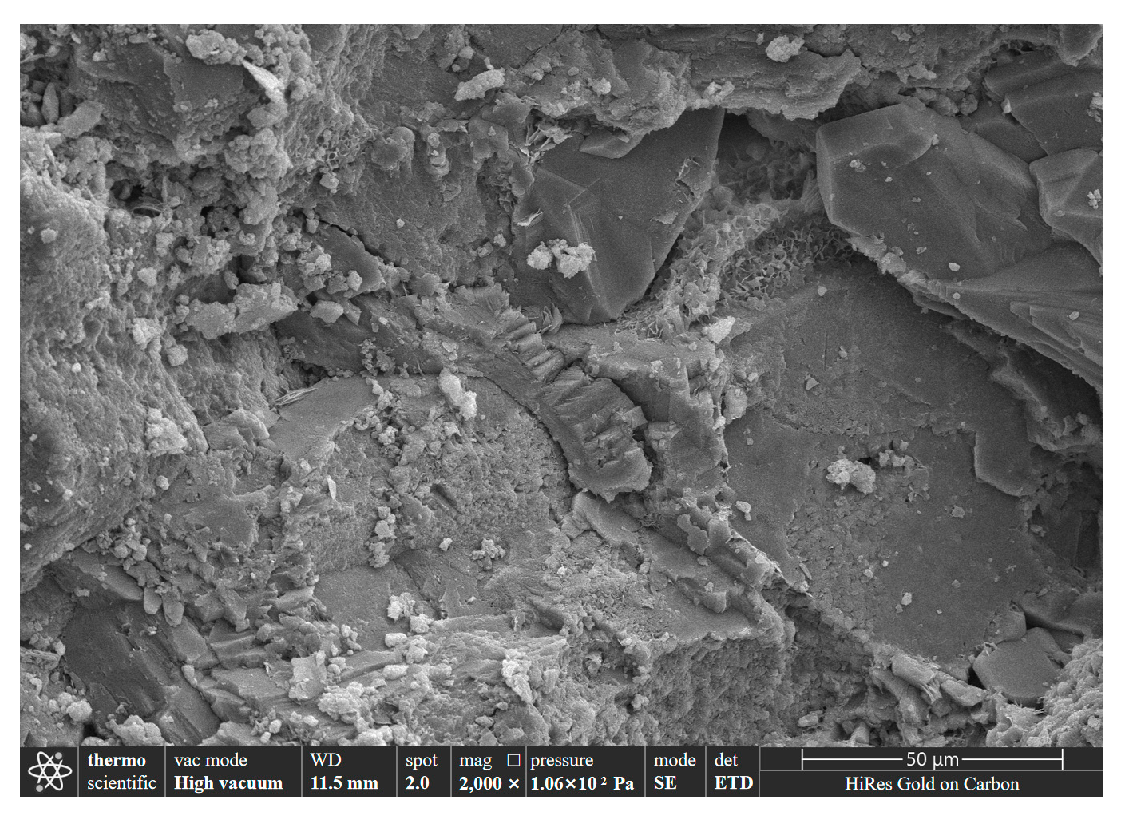 Applsci 15 01819 g015