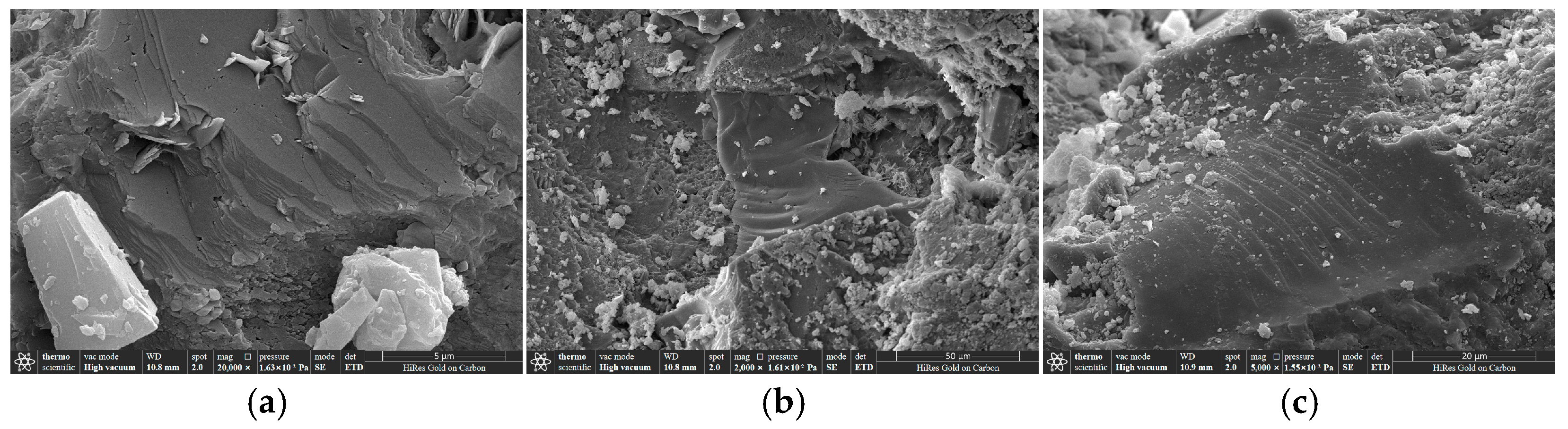 Applsci 15 01819 g016