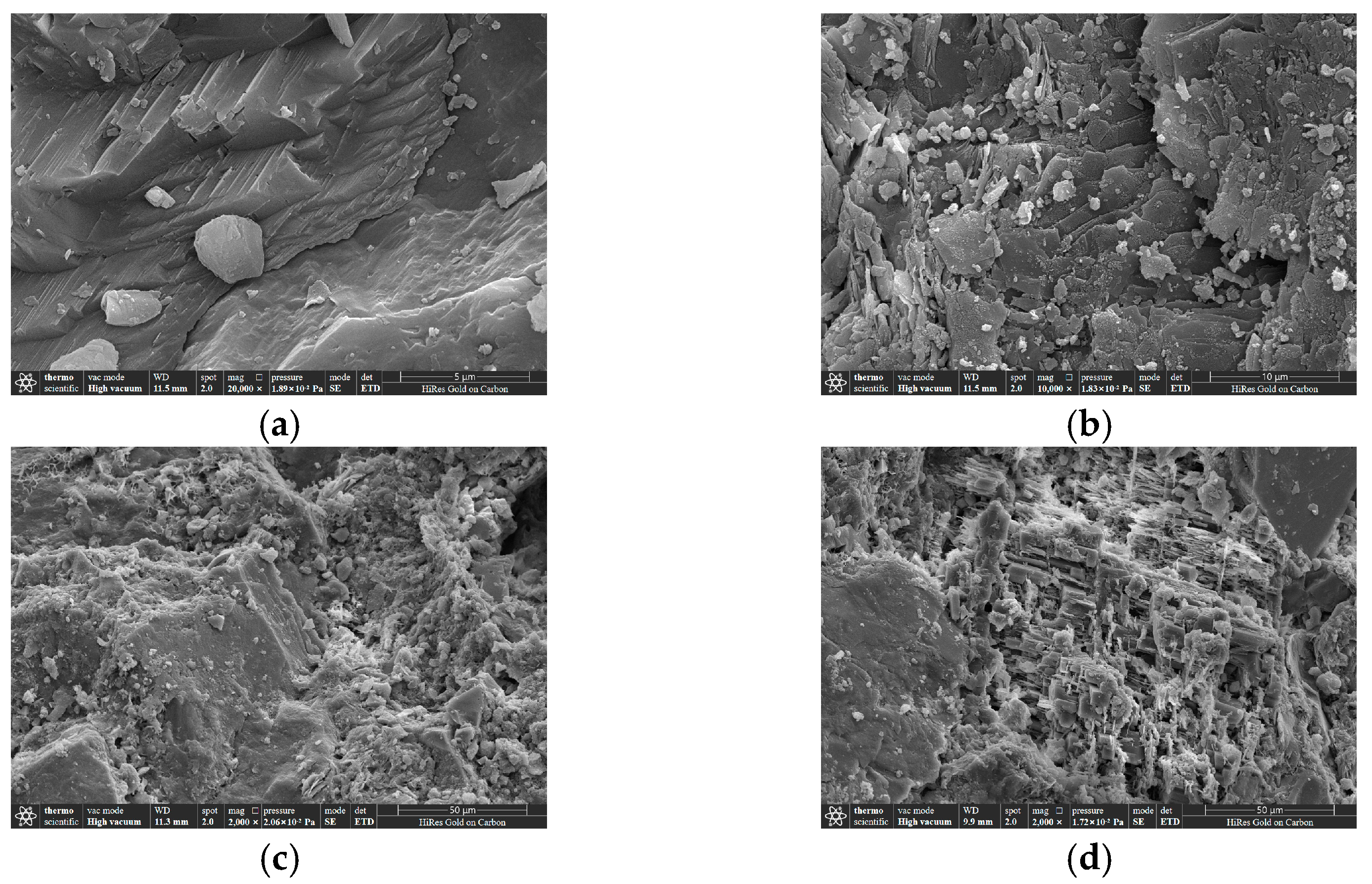 Applsci 15 01819 g020