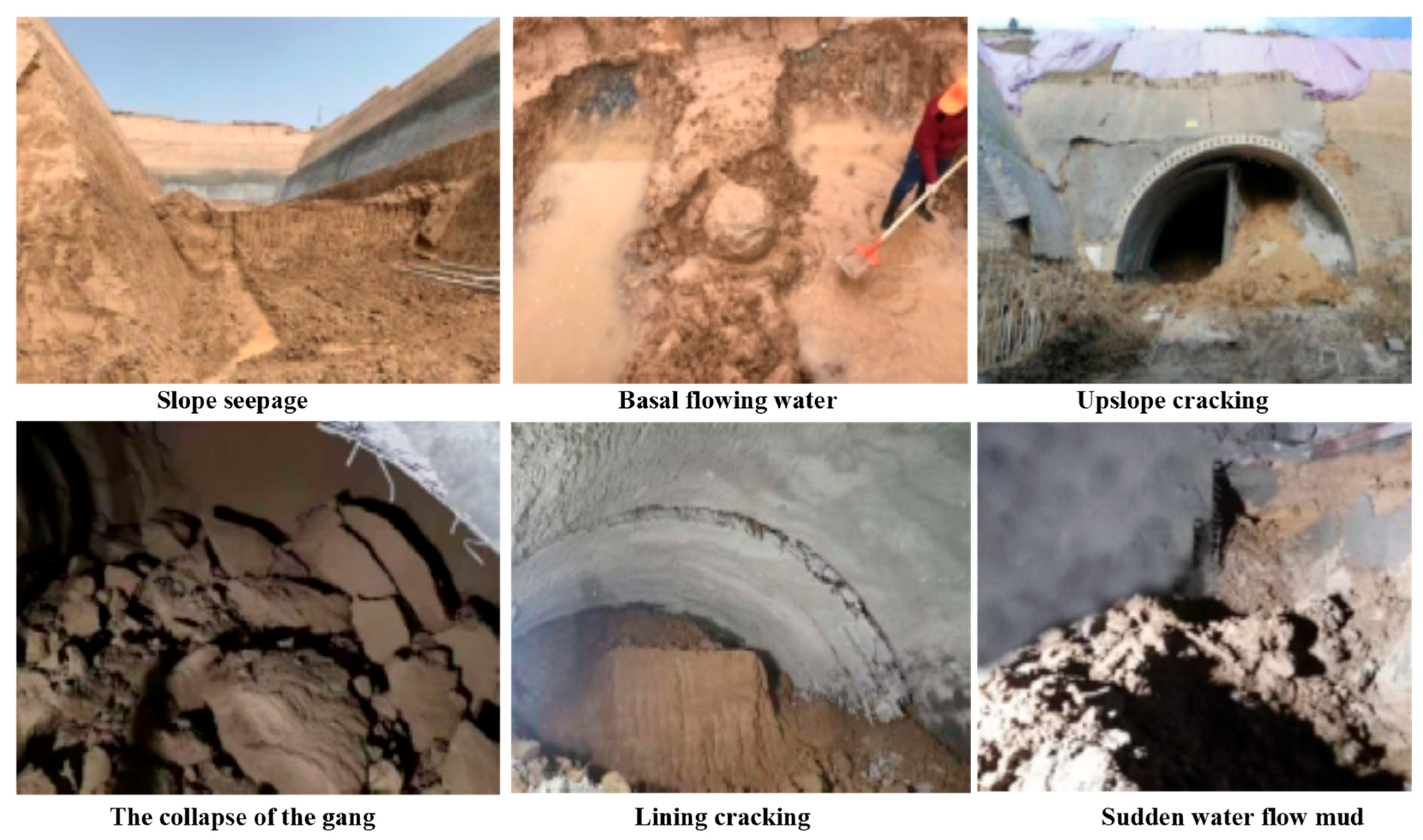 Applsci 15 01835 g003