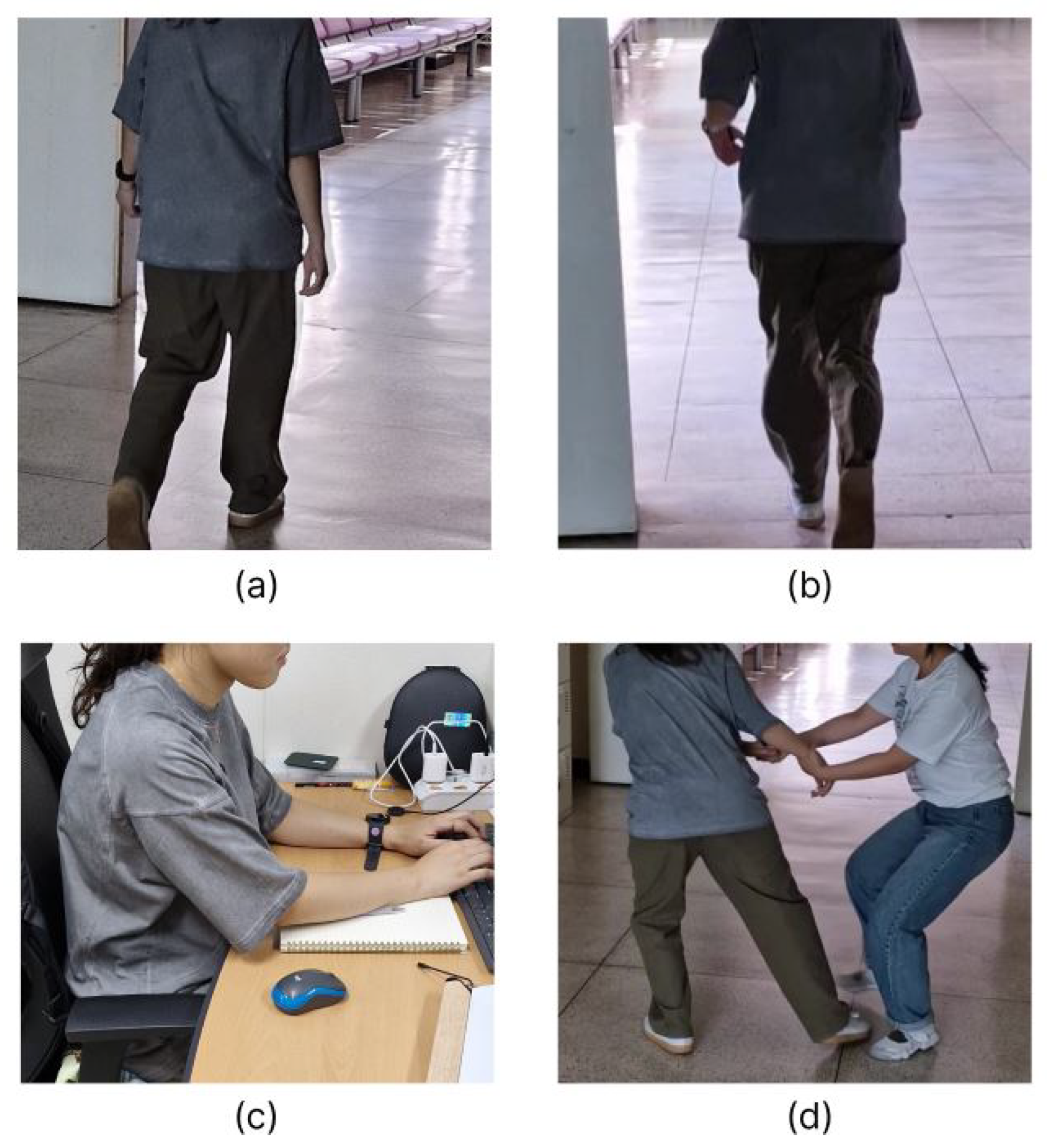 Applsci 15 01842 g008