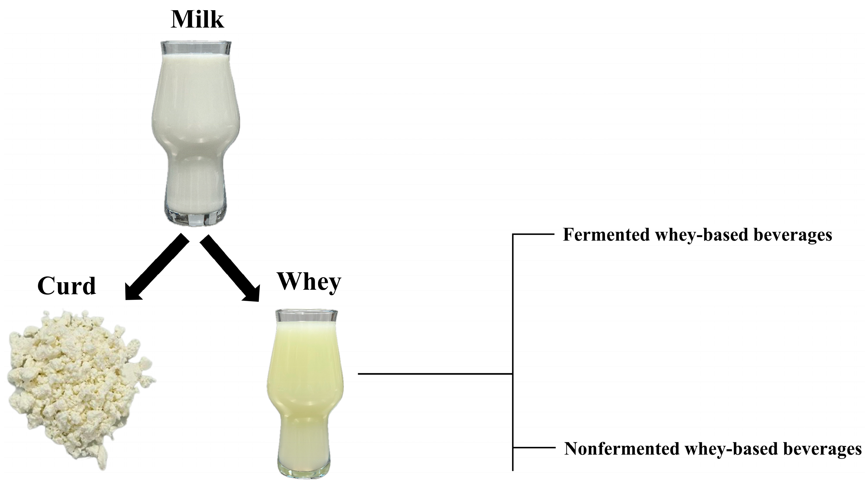 Applsci 15 01846 g001