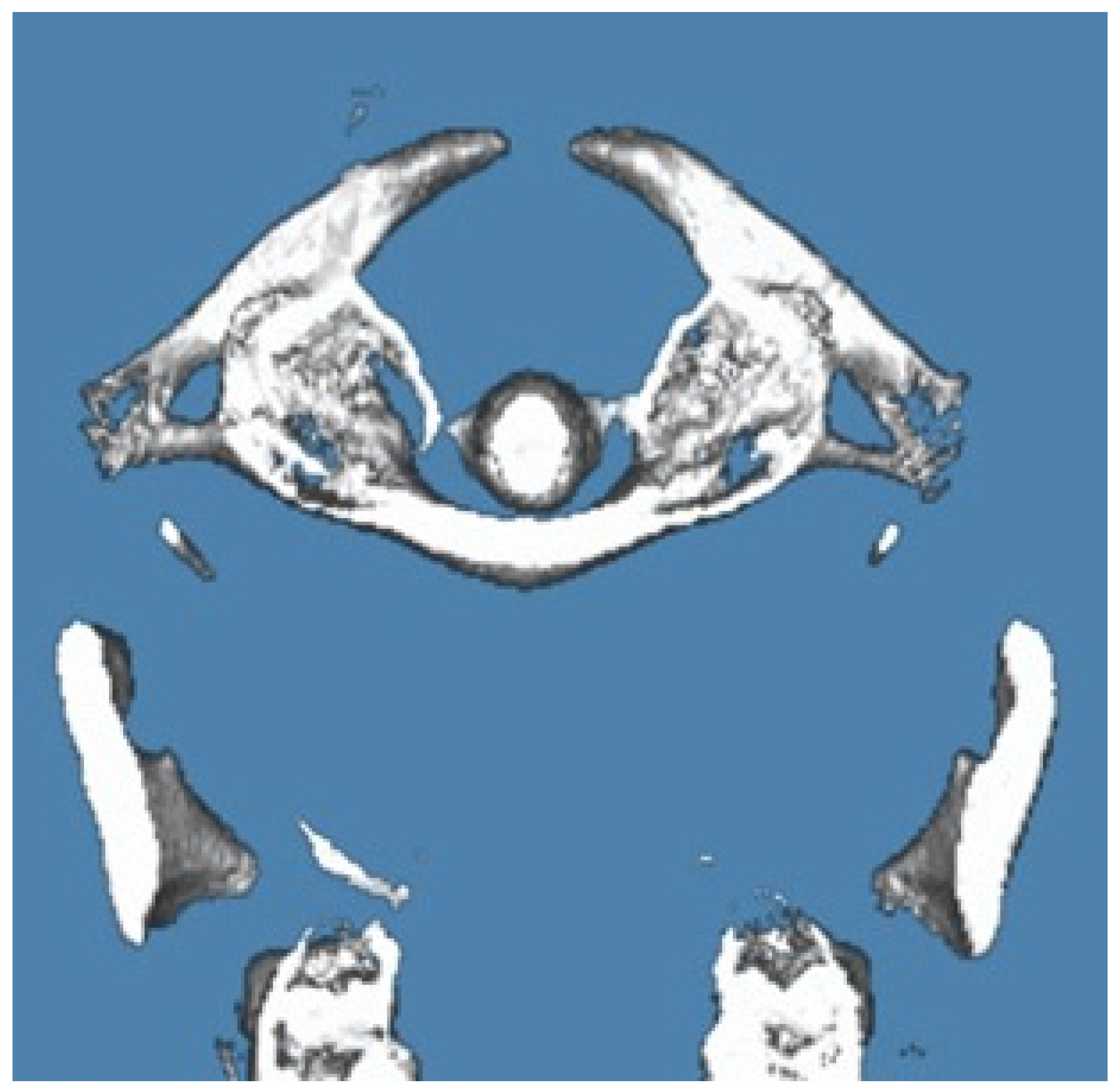 Applsci 15 01877 g002