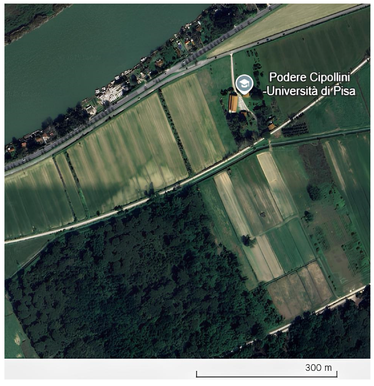 Applsci 15 01883 g001