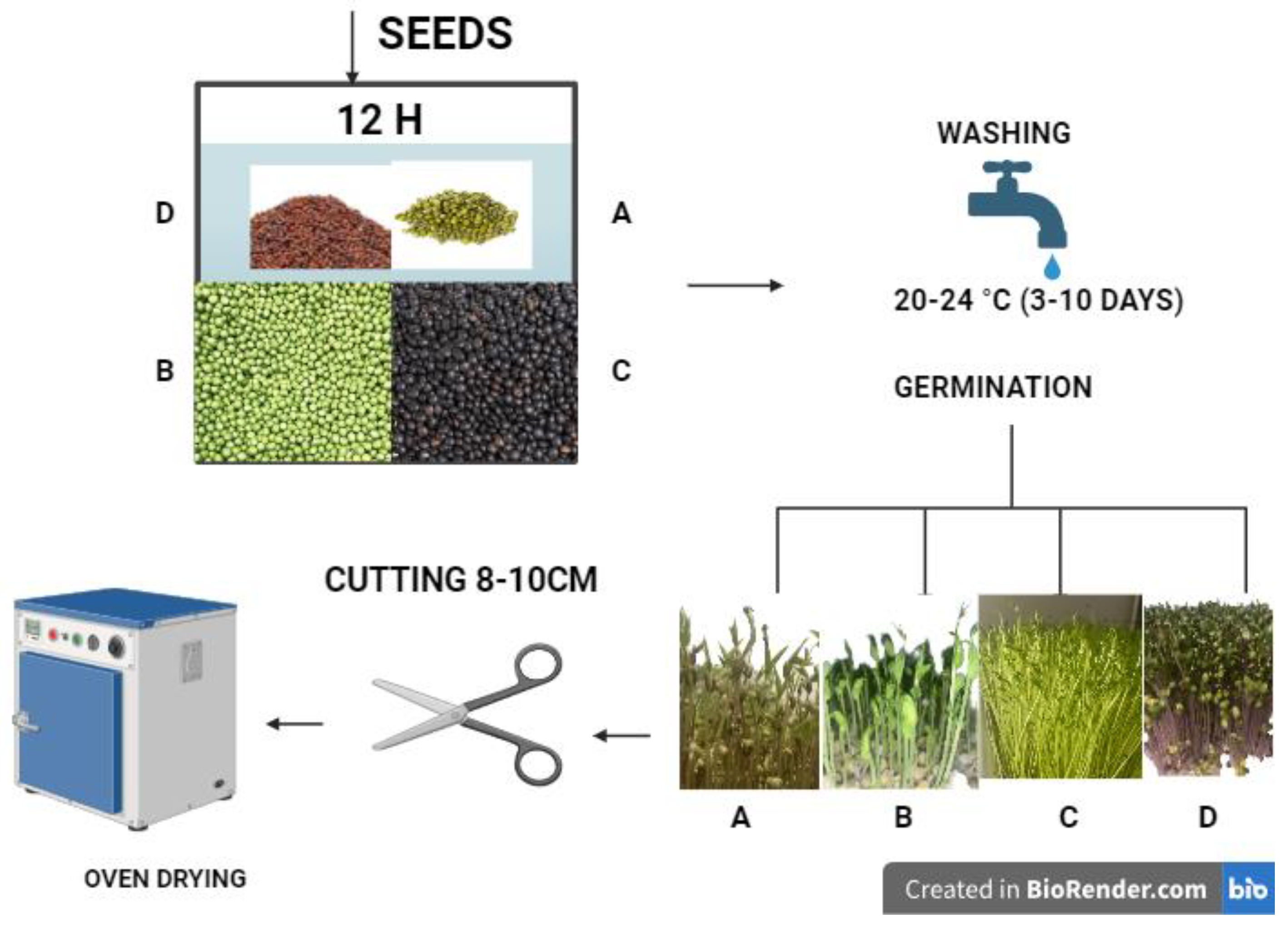 Applsci 15 01896 g001