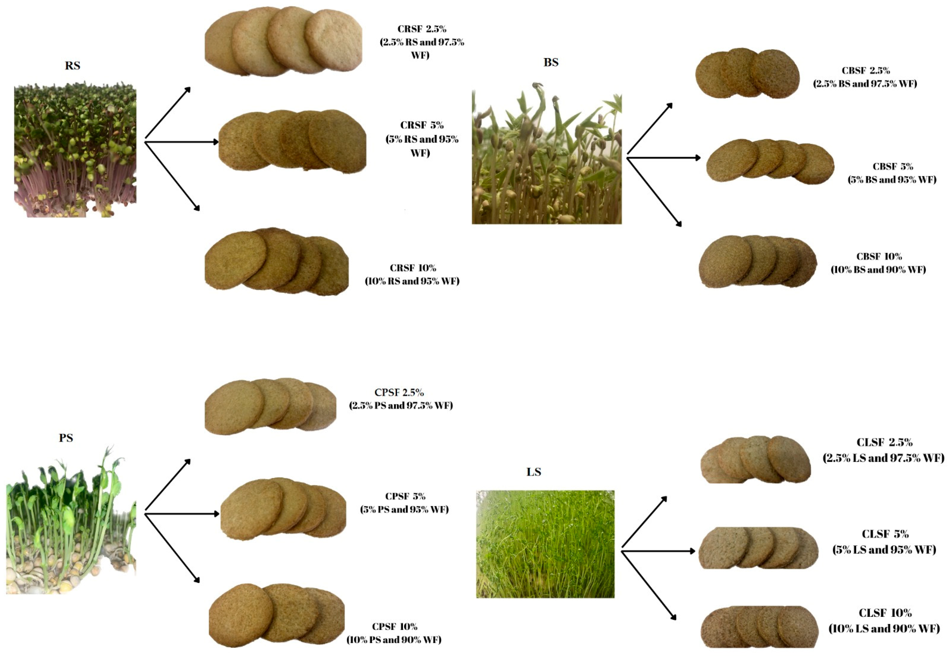 Applsci 15 01896 g003