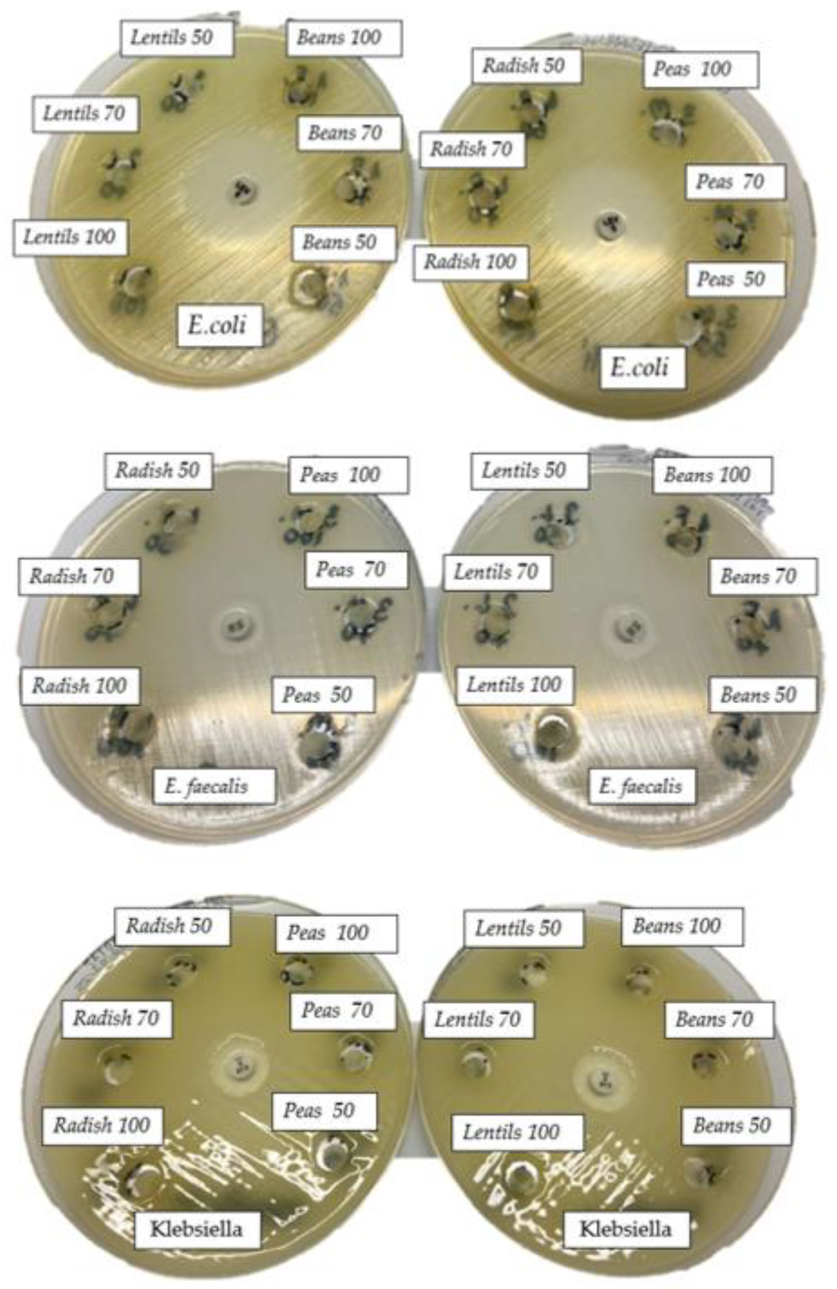 Applsci 15 01896 g006a