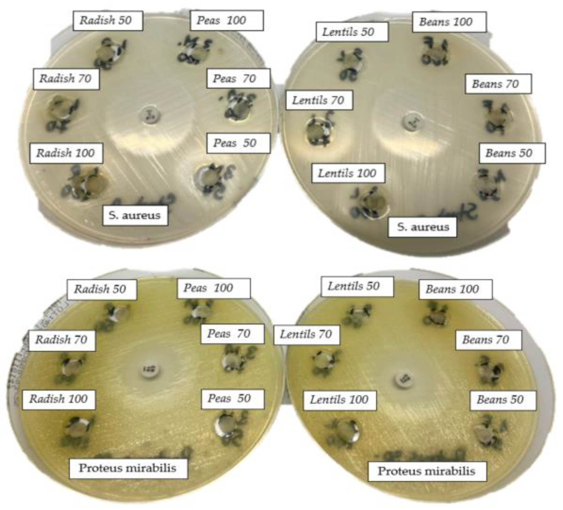 Applsci 15 01896 g006b