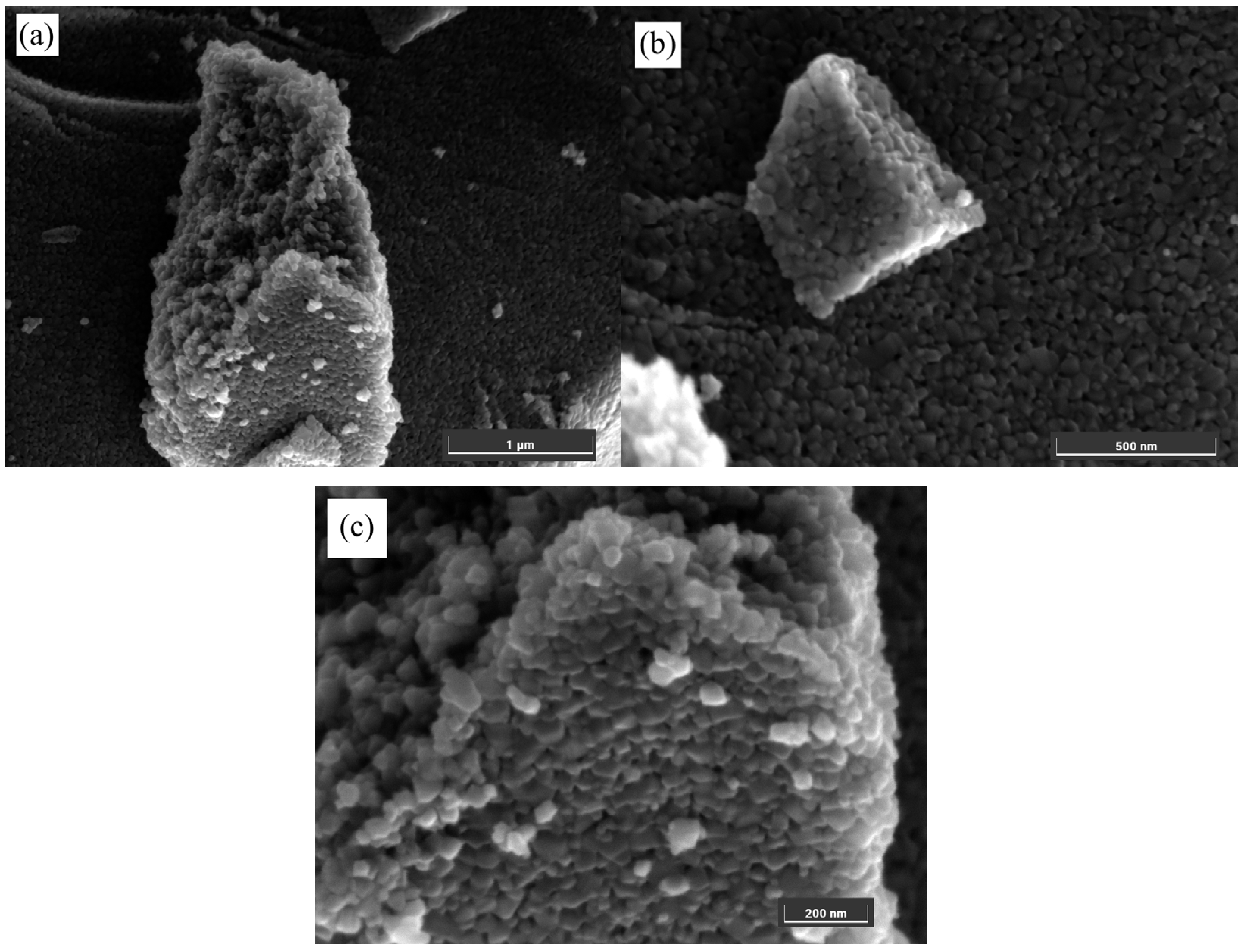 Applsci 15 01899 g002