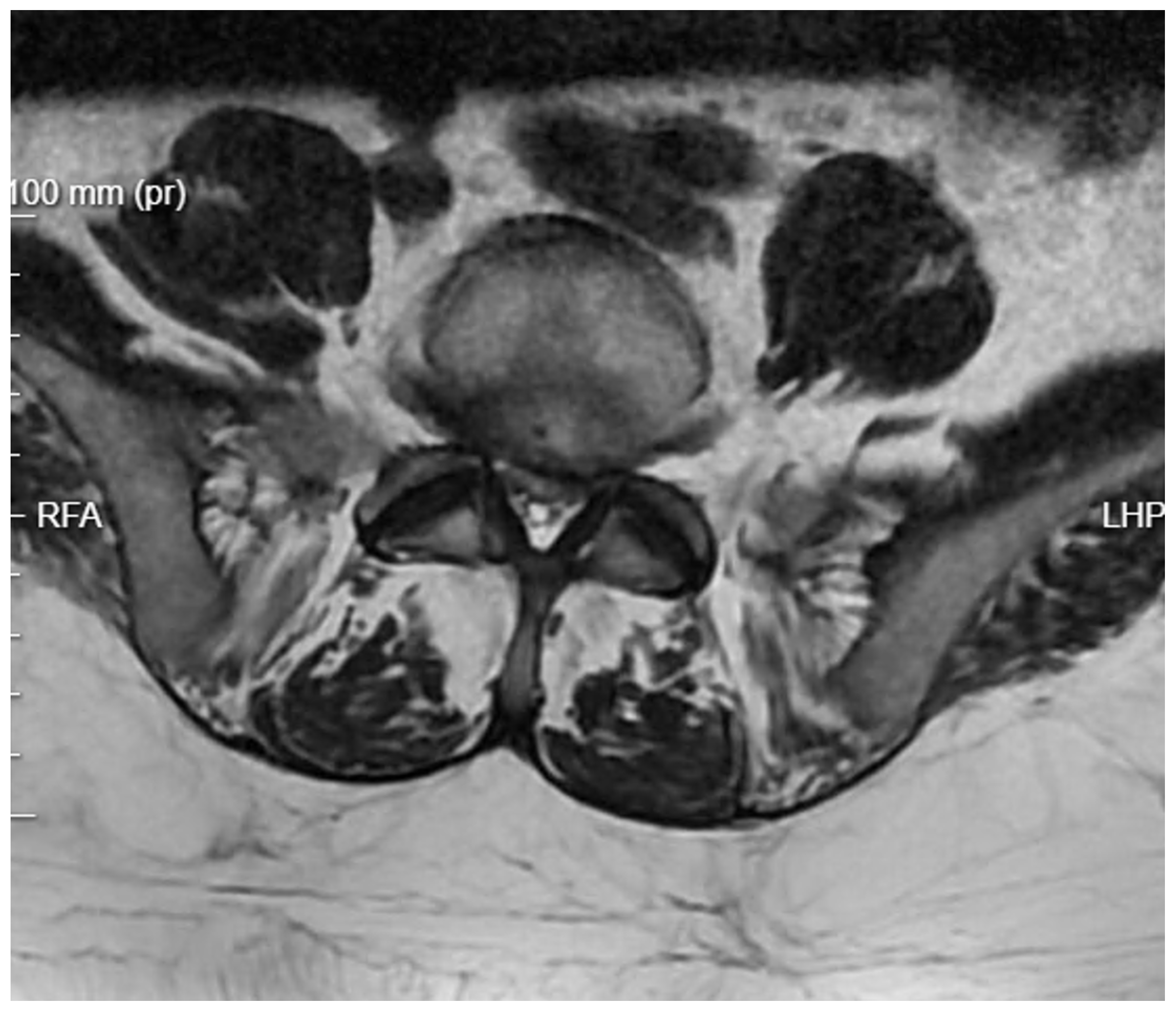 Applsci 15 01906 g002