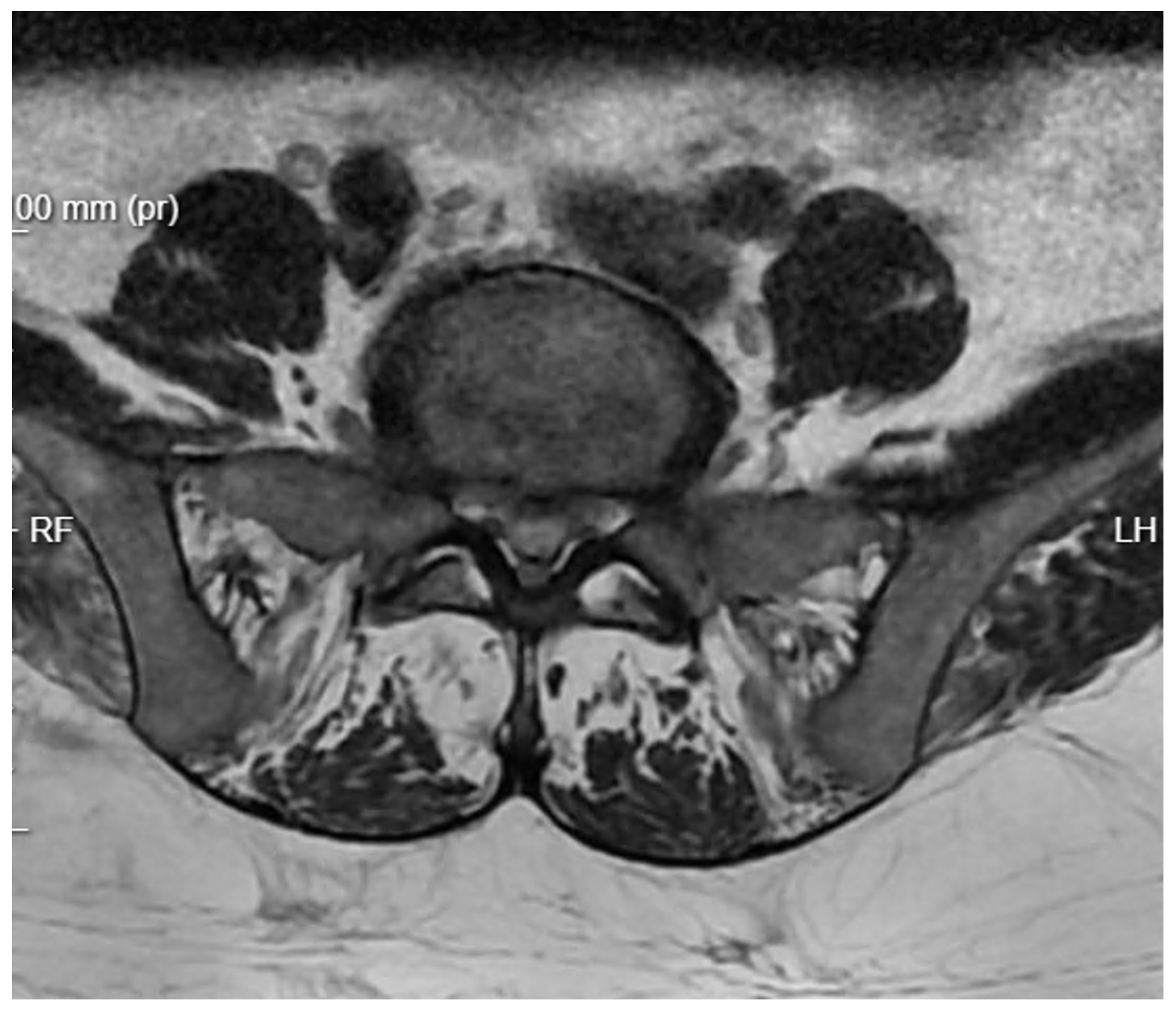 Applsci 15 01906 g004