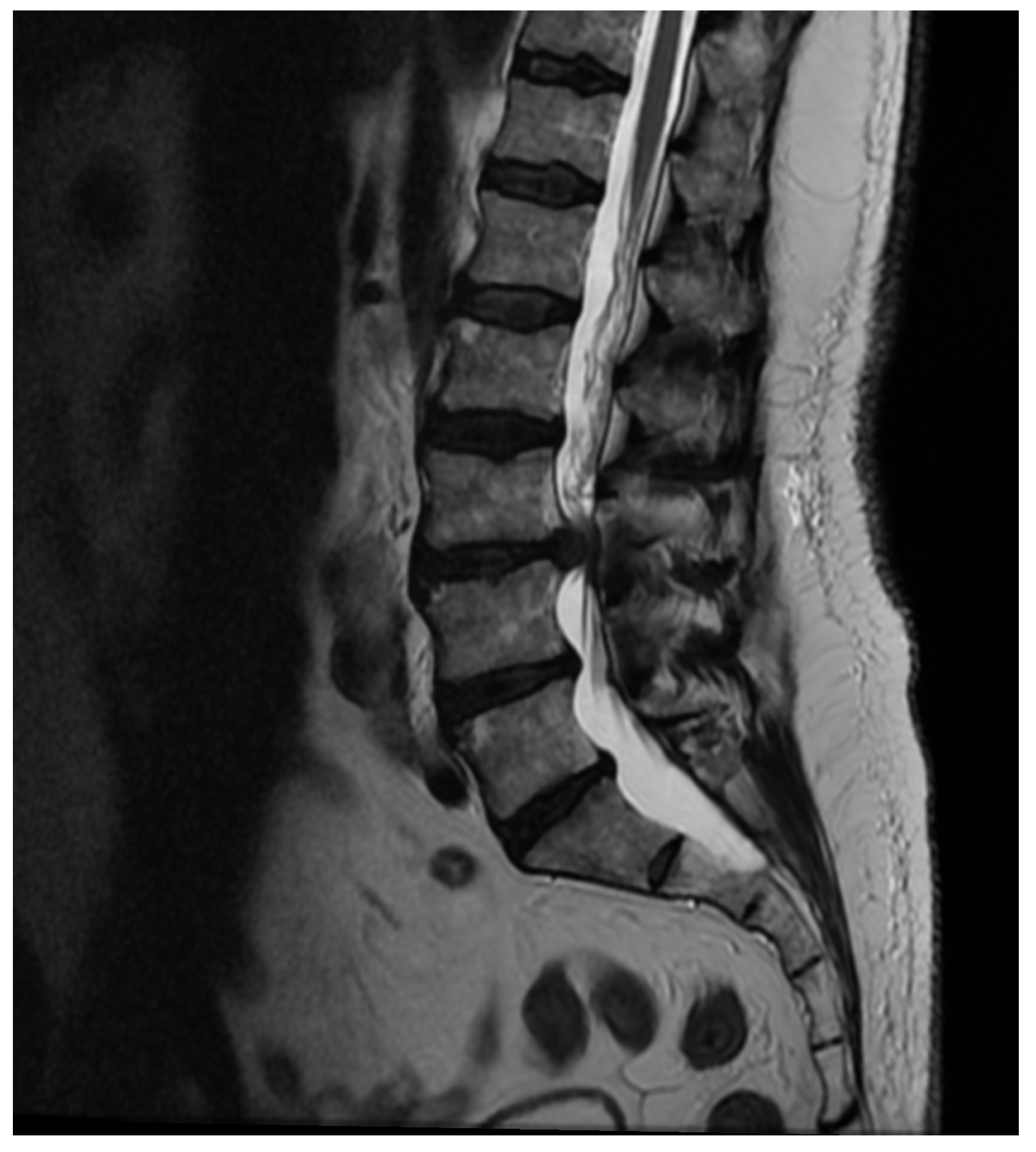 Applsci 15 01906 g006