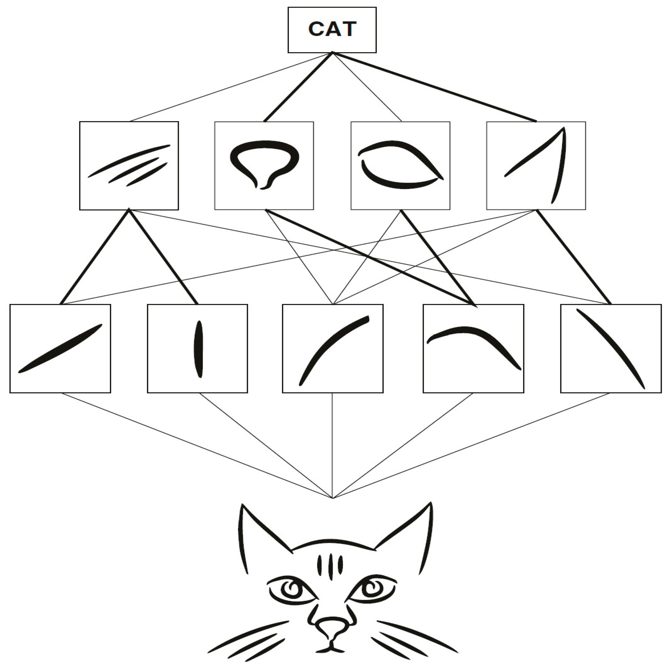 Applsci 15 01913 g004
