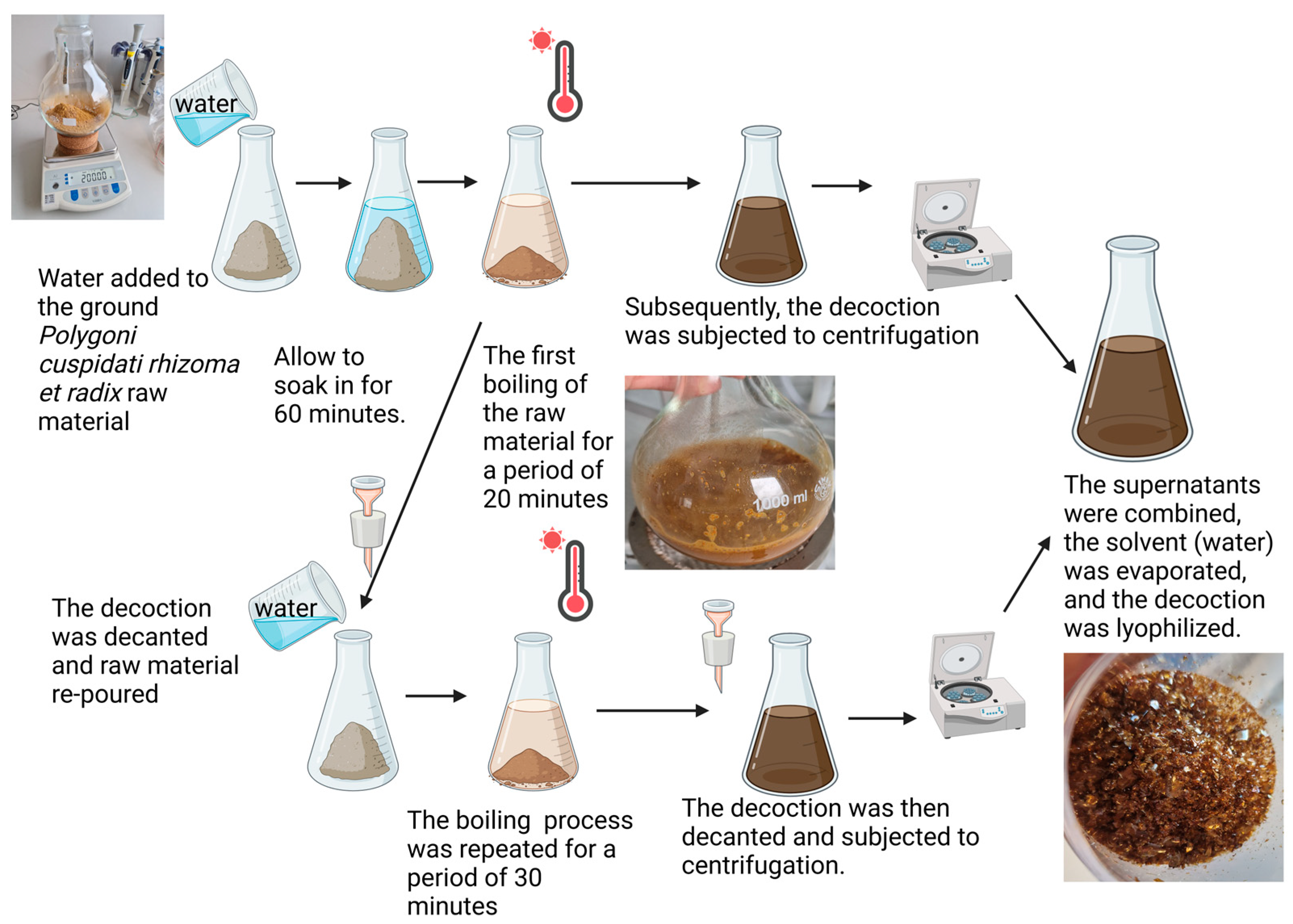 Applsci 15 01914 g001