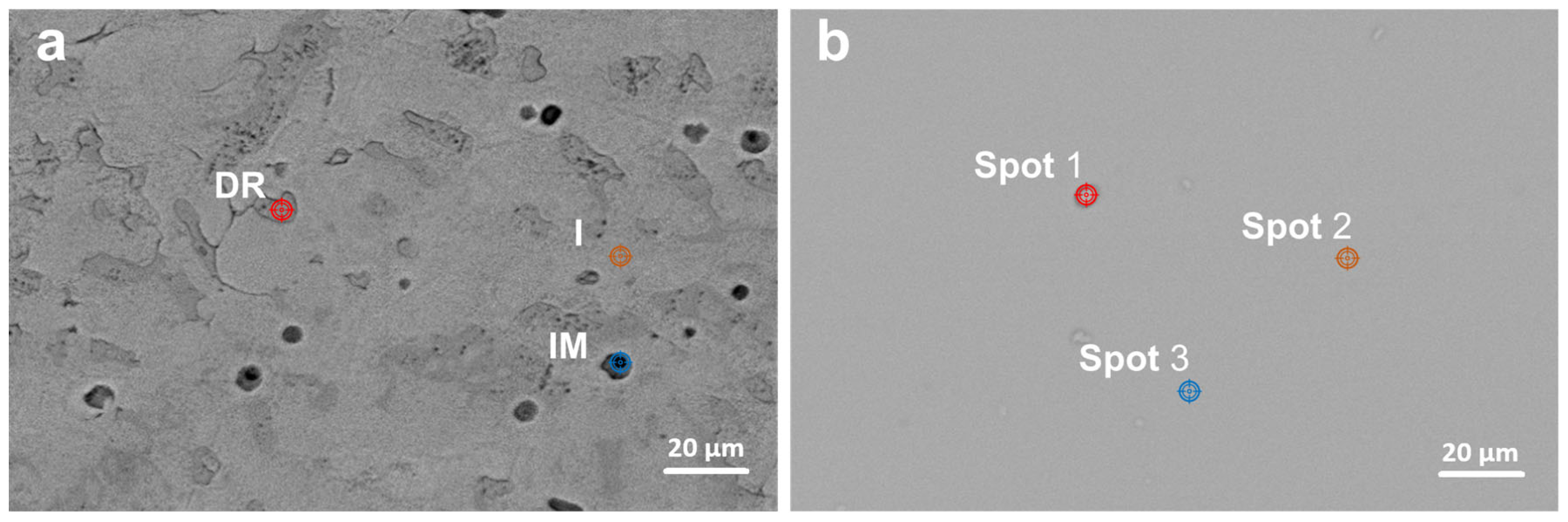 Applsci 15 01917 g002