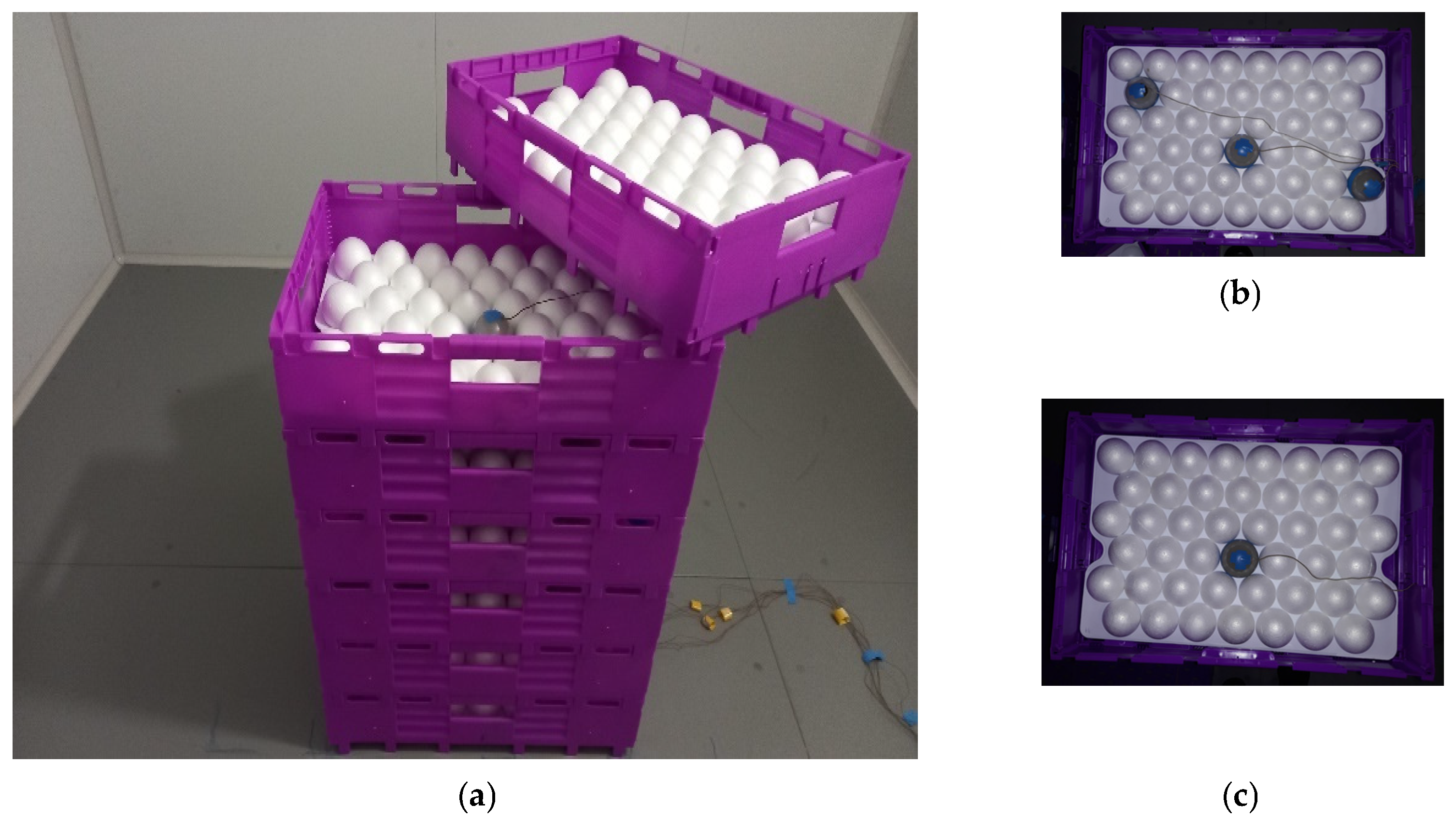 Applsci 15 01924 g006