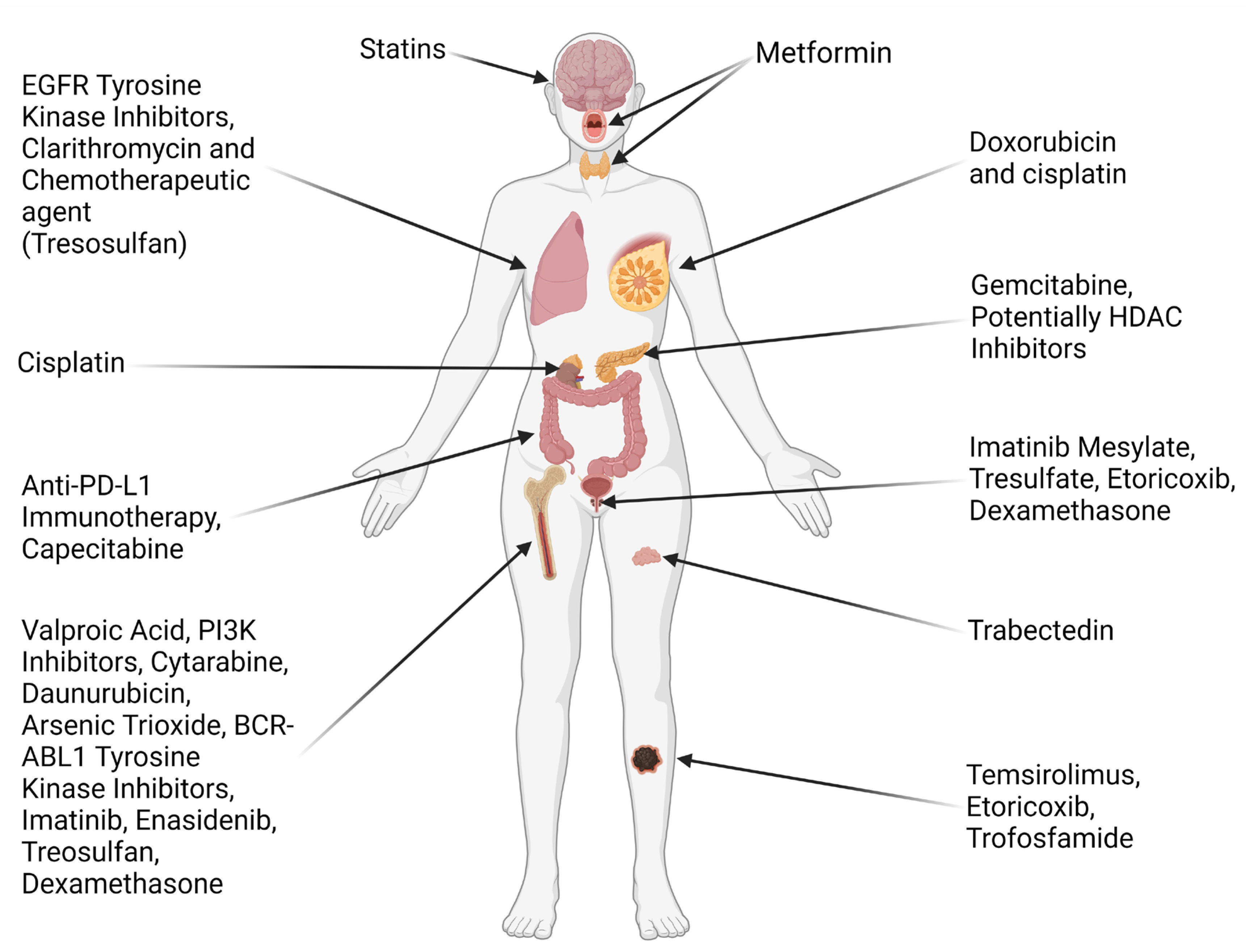 Applsci 15 01925 g004