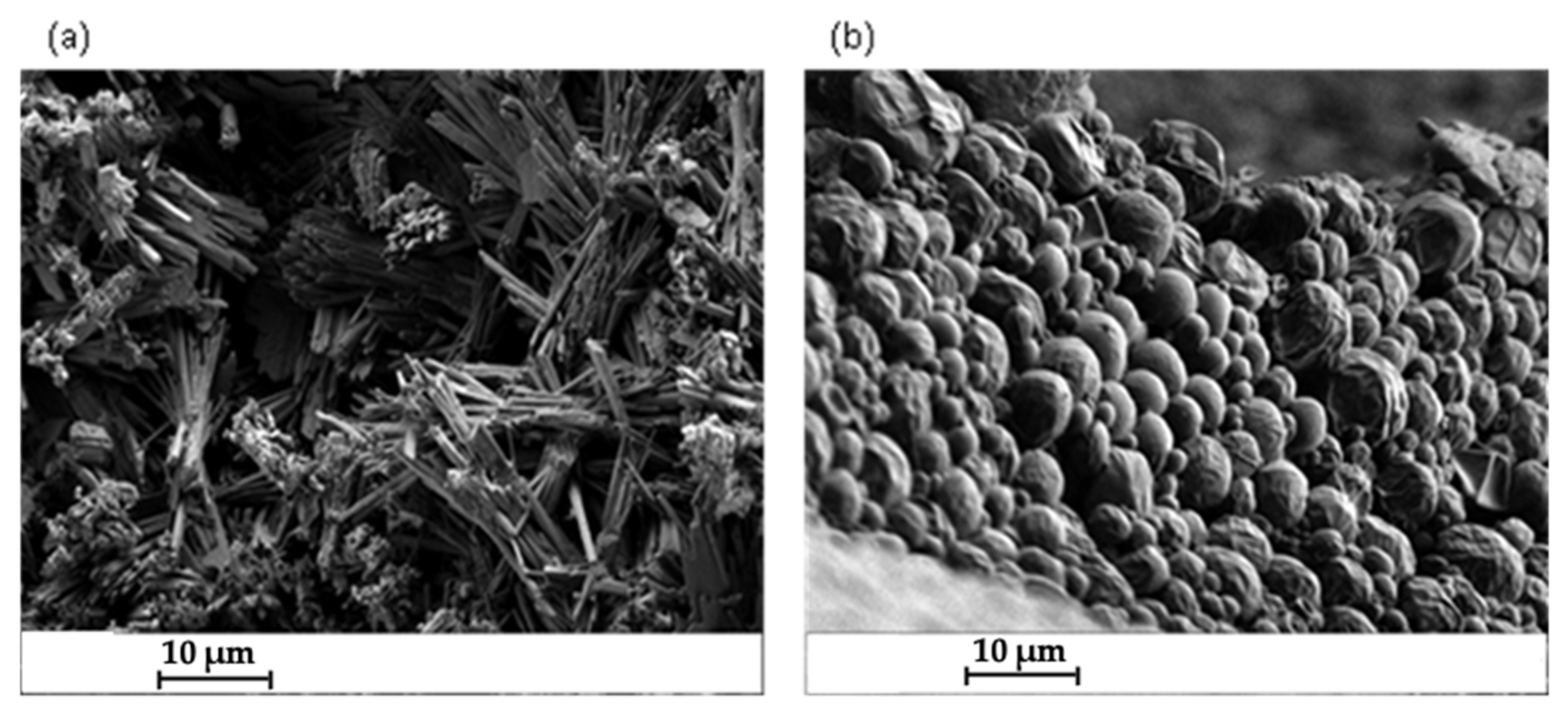 Applsci 15 01929 g001