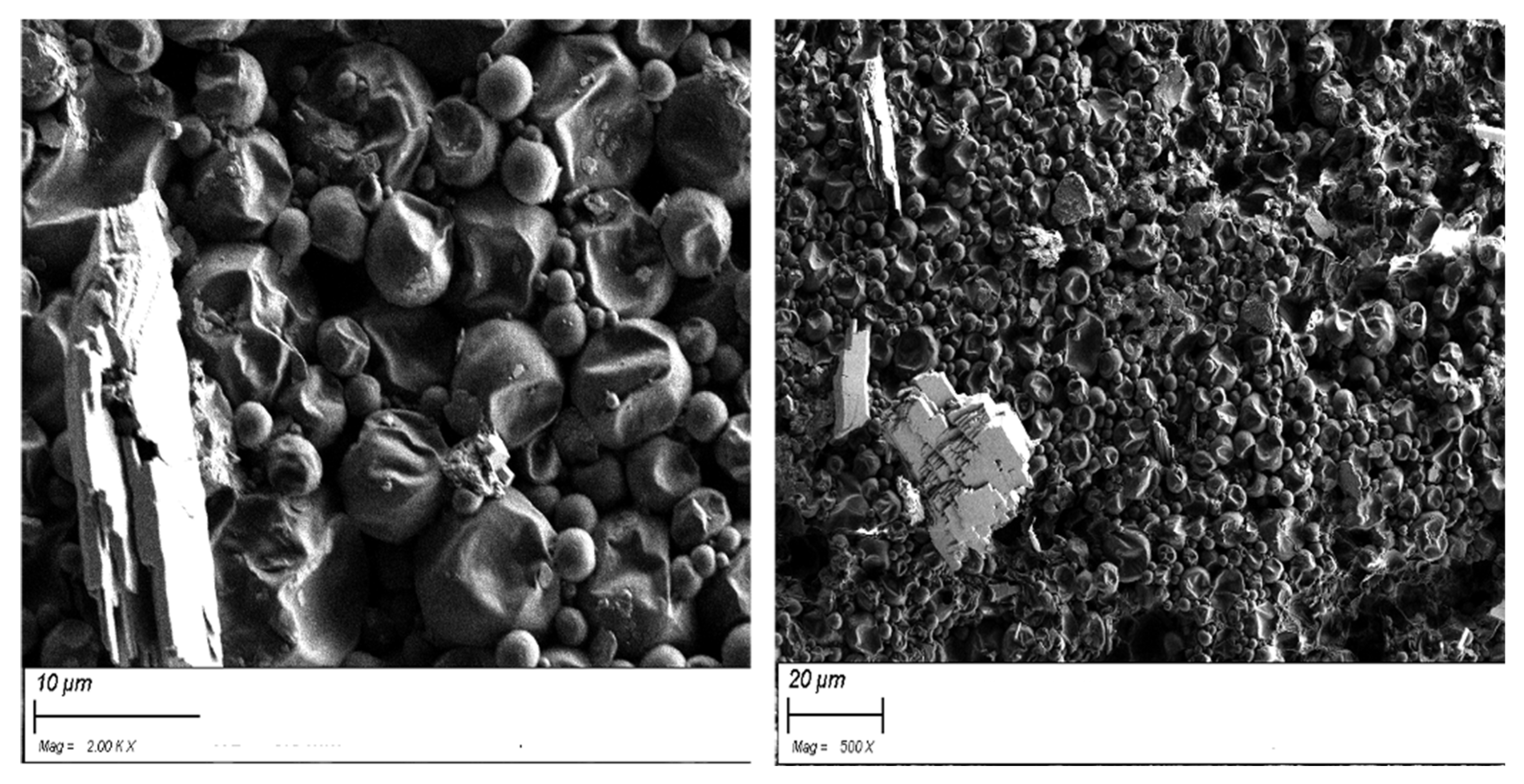 Applsci 15 01929 g007