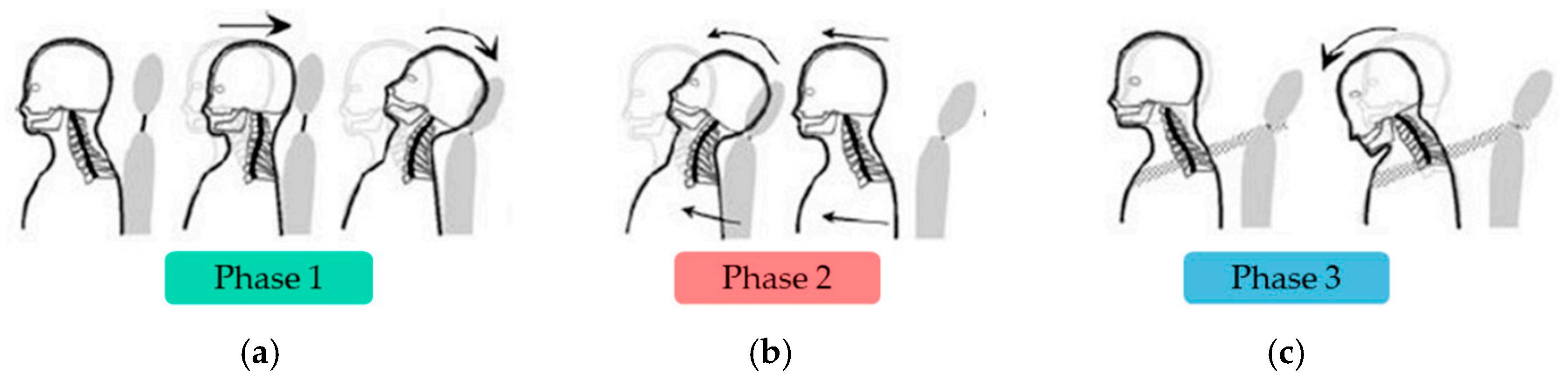 Applsci 15 01930 g001
