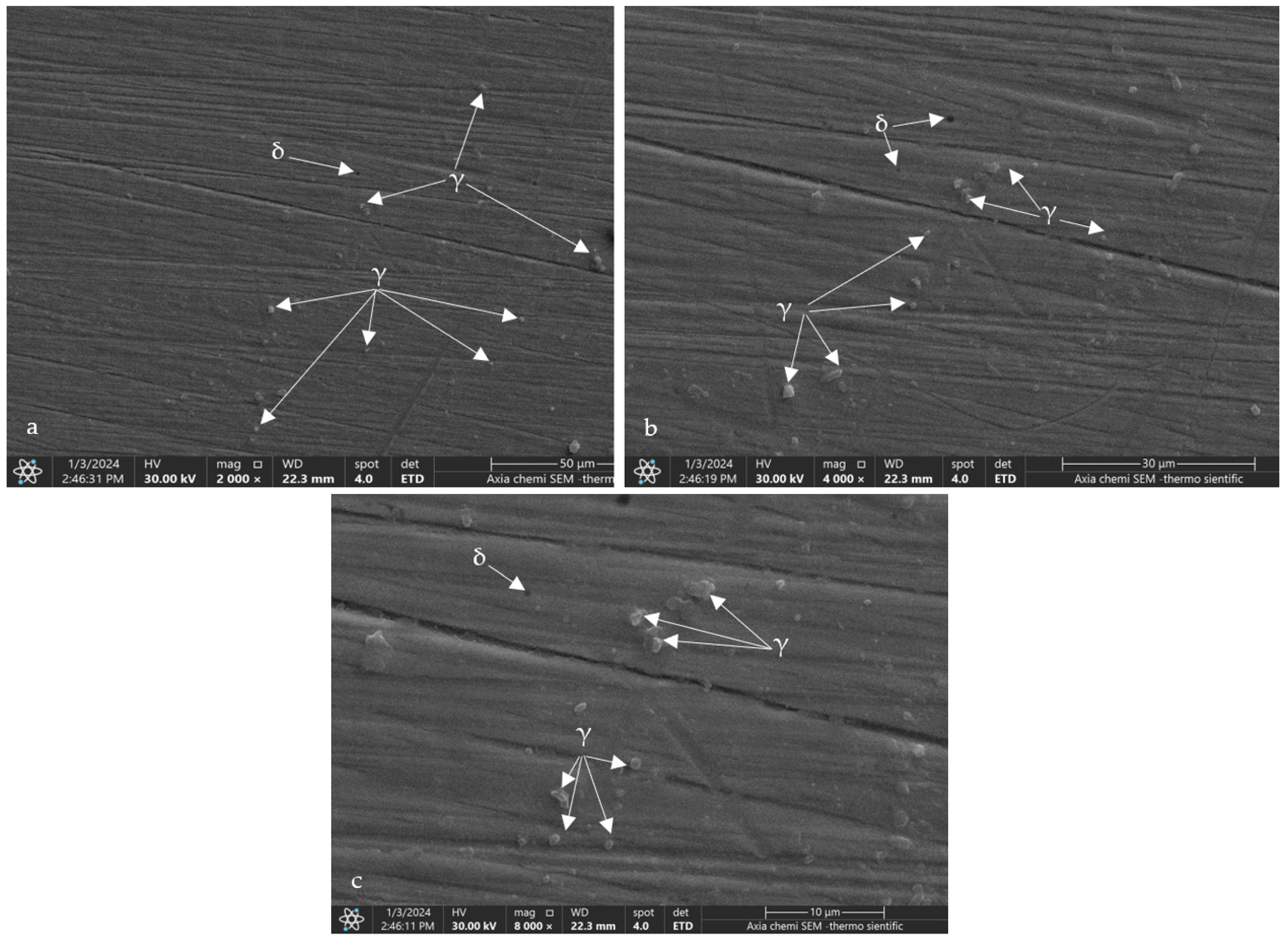 Applsci 15 01938 g009