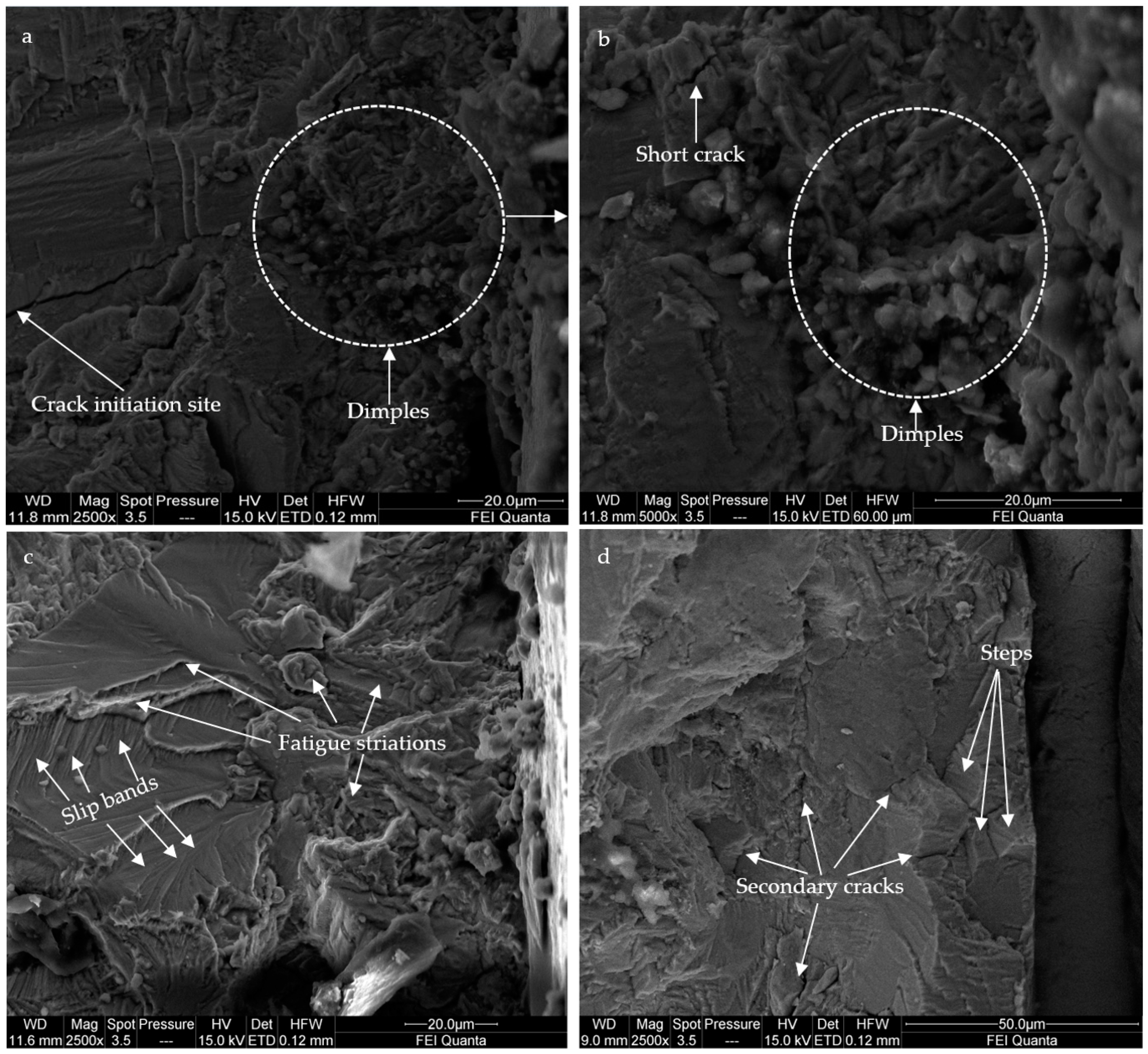 Applsci 15 01938 g016