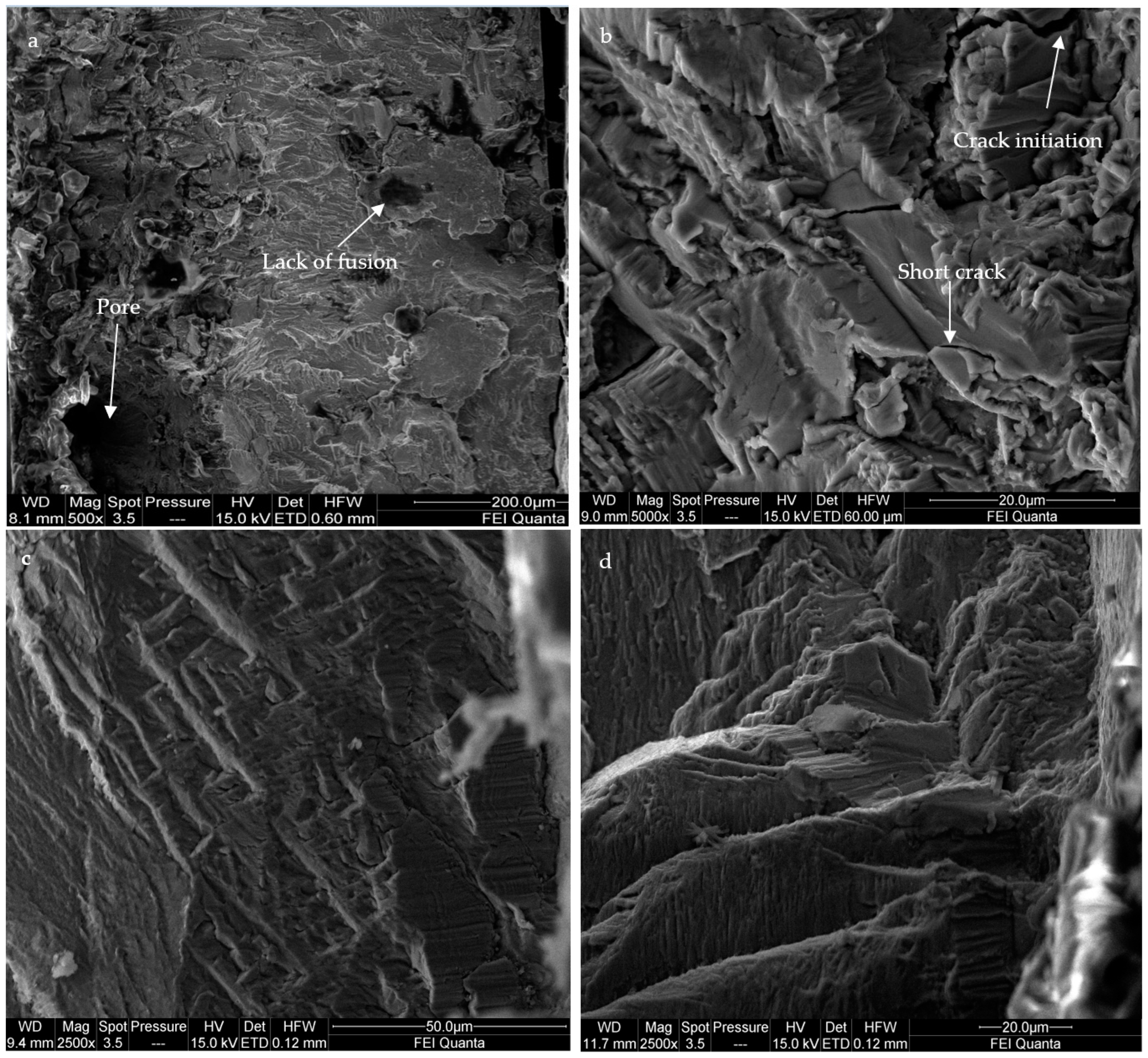 Applsci 15 01938 g017